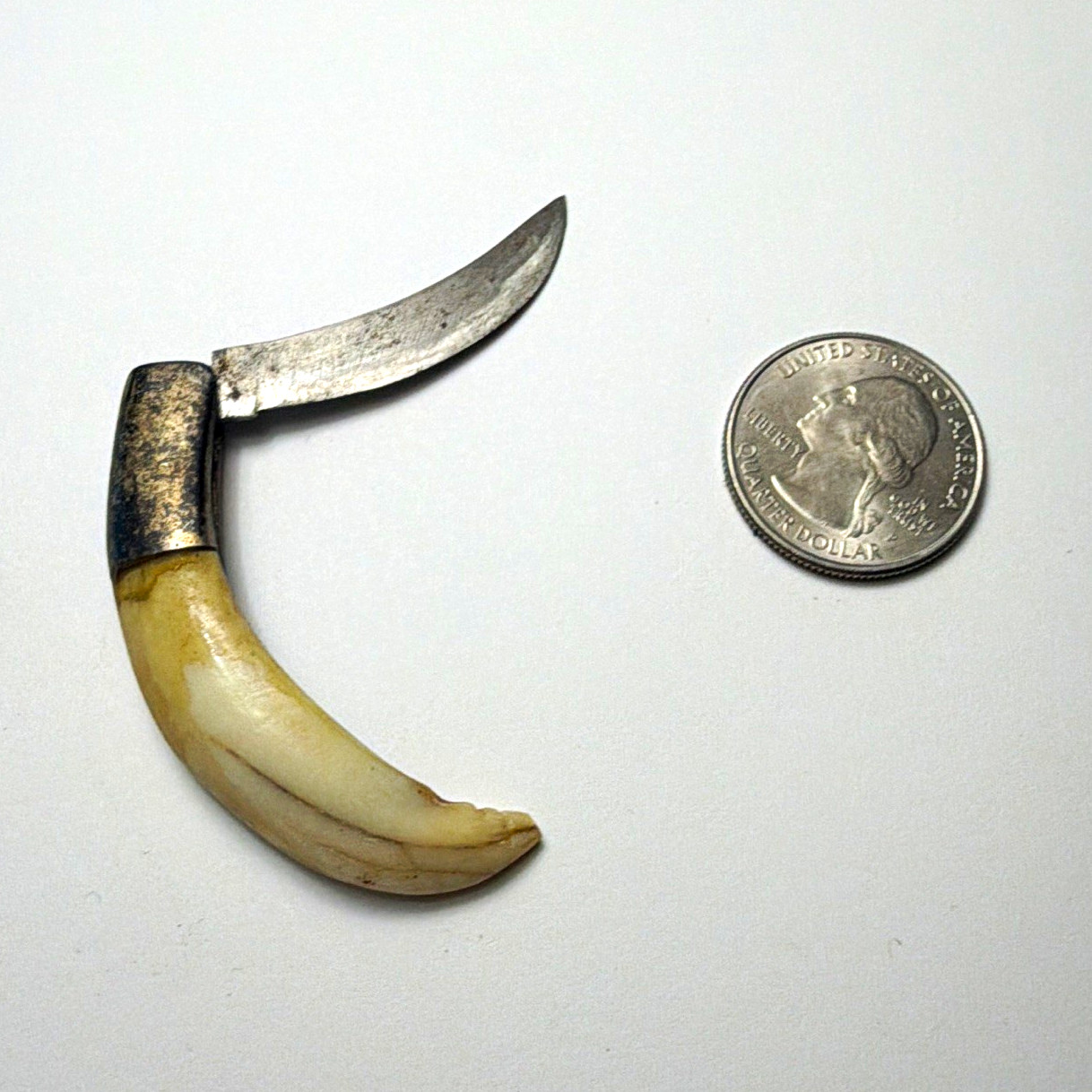Hawkbill Pocketknife 1-Blade Plain Edge Manual Folding Bone Handle Under 2.75in