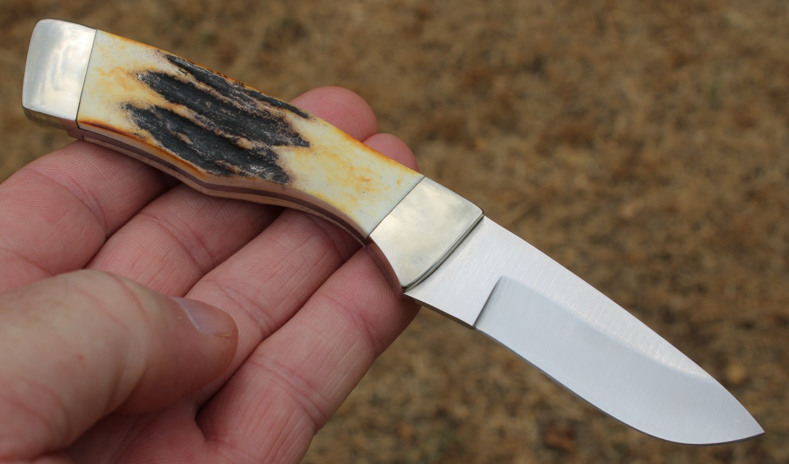 Bear MGC Fixed Blade Knife 6 1/2″ 580 Hunter India Stag Handle With Box & Sheath