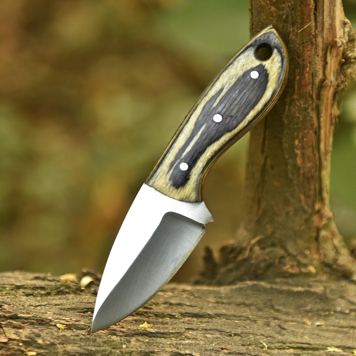 5.5″ D2 Steel Neck Knife Fixed Blade G10 Handle Sheath EDC Bushcraft Outdoor