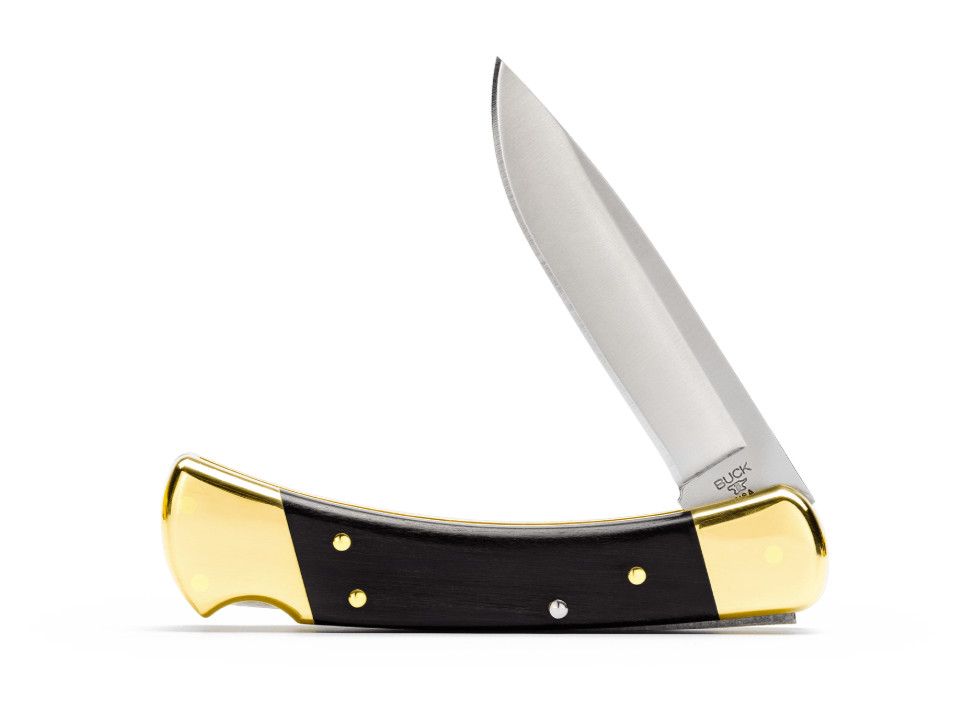Buck 110 Drop Point Folding Hunter Knife 0110BRS6-B 420HC Ebony Made in USA New