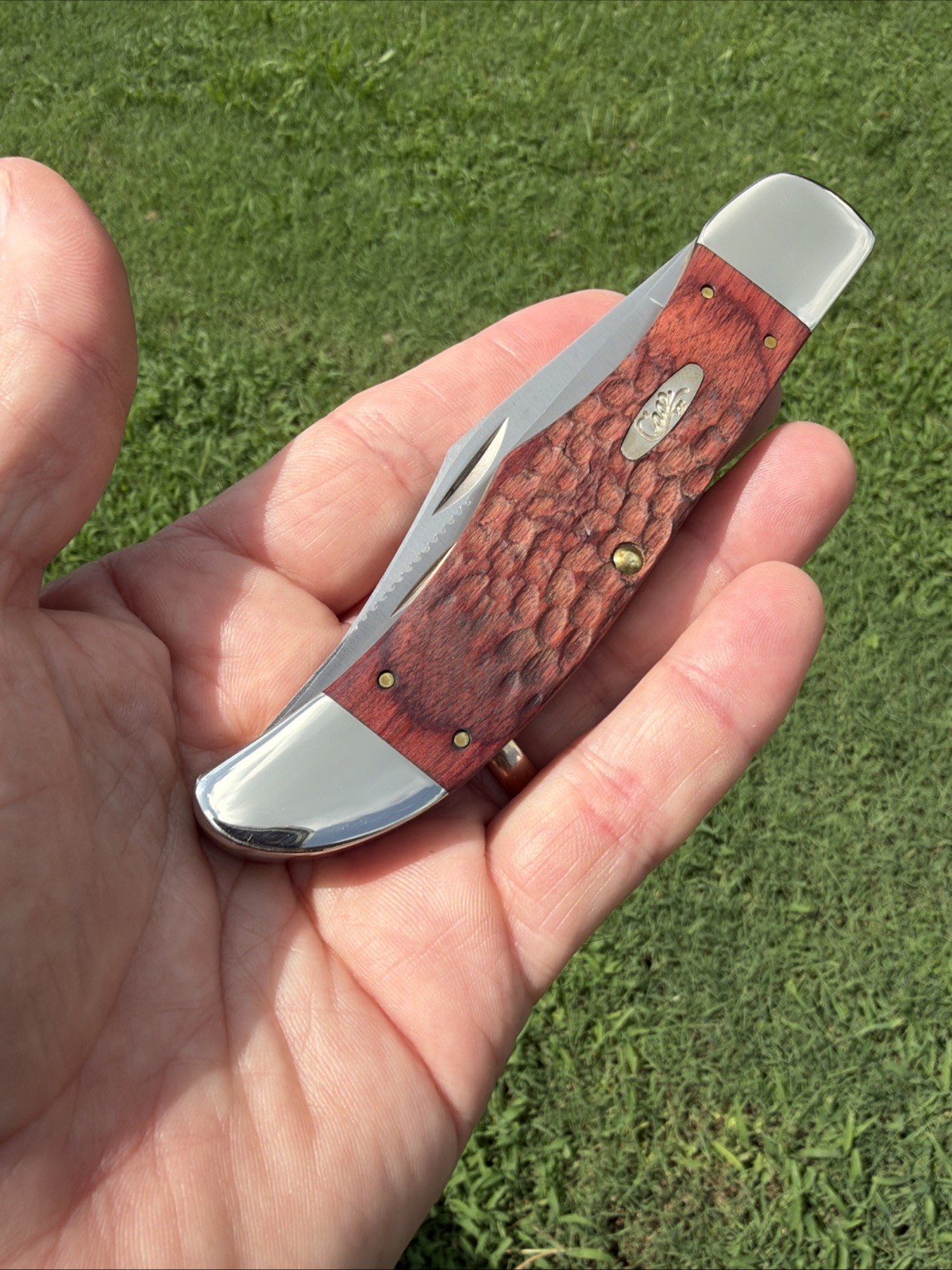 Case XX 2025 Rosewood Standard Jig 6265 SS Folding Hunter With Sheath