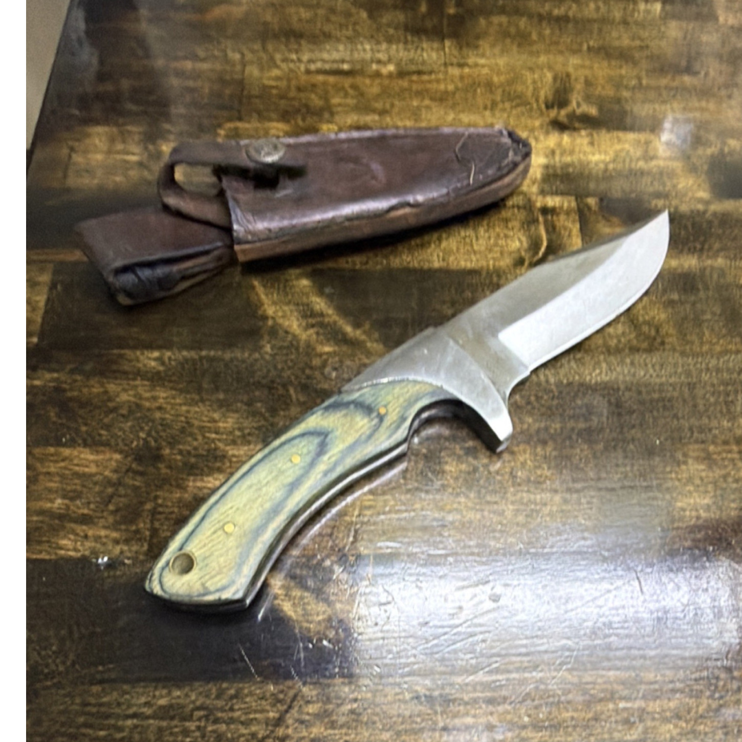 Timber Rattler Hunting Knife Surgical Steel Over 5in Clip Point Wood Sheath