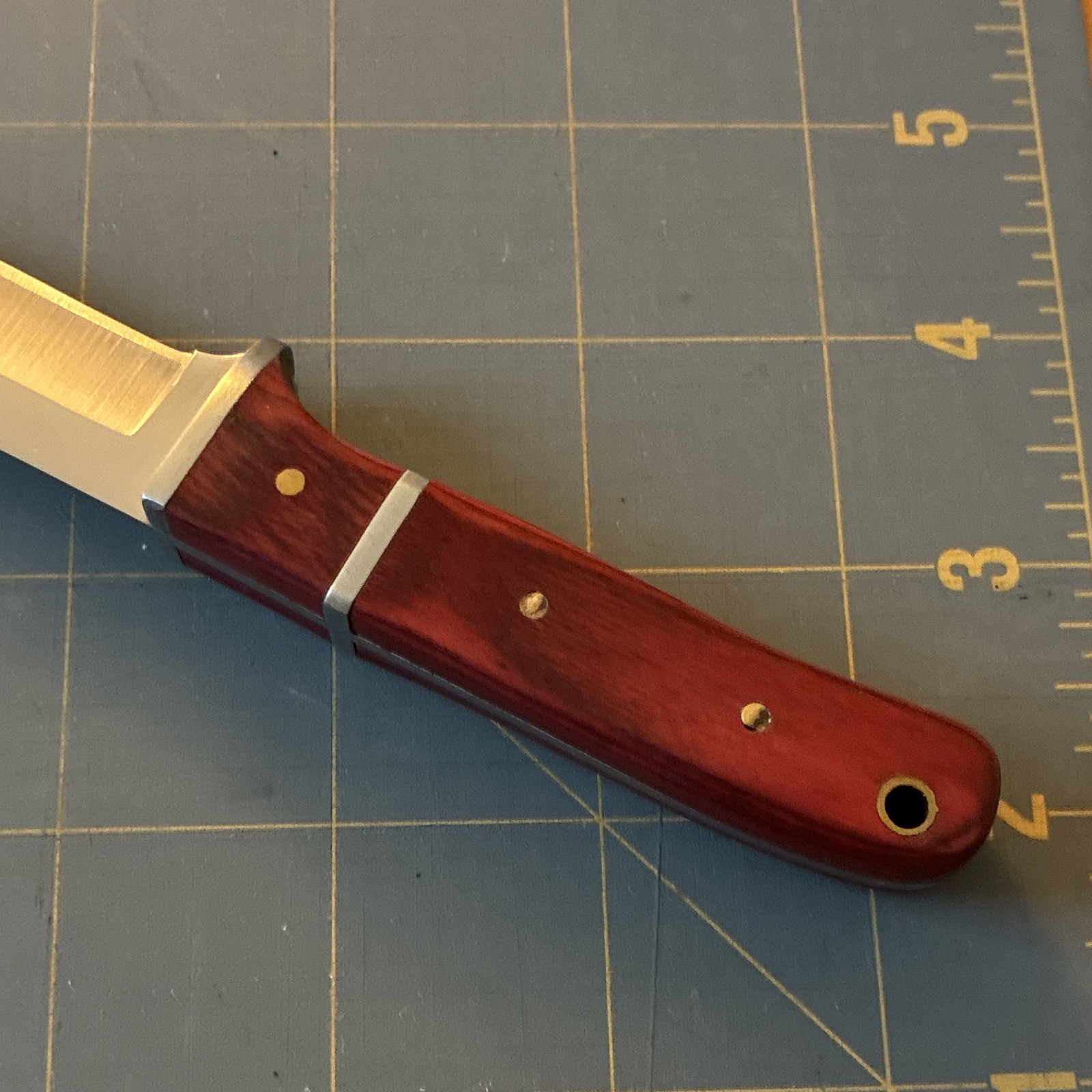 Hunting Fixed Blade Knife 3-3.49in Stainless Clip Point Silver, Wood, Hole