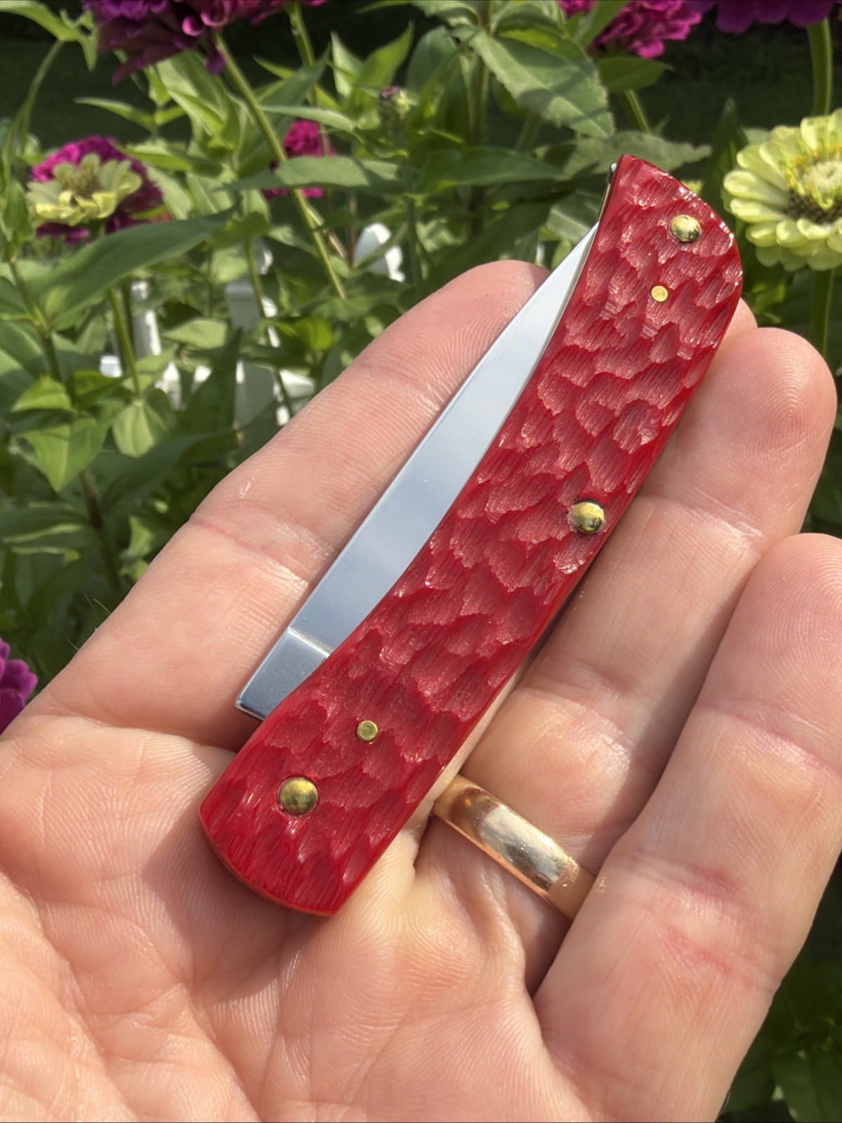 Case XX 2025 Dark Red Peach Seed Jig Bone 6137 CS Sod Buster Jr. Knife