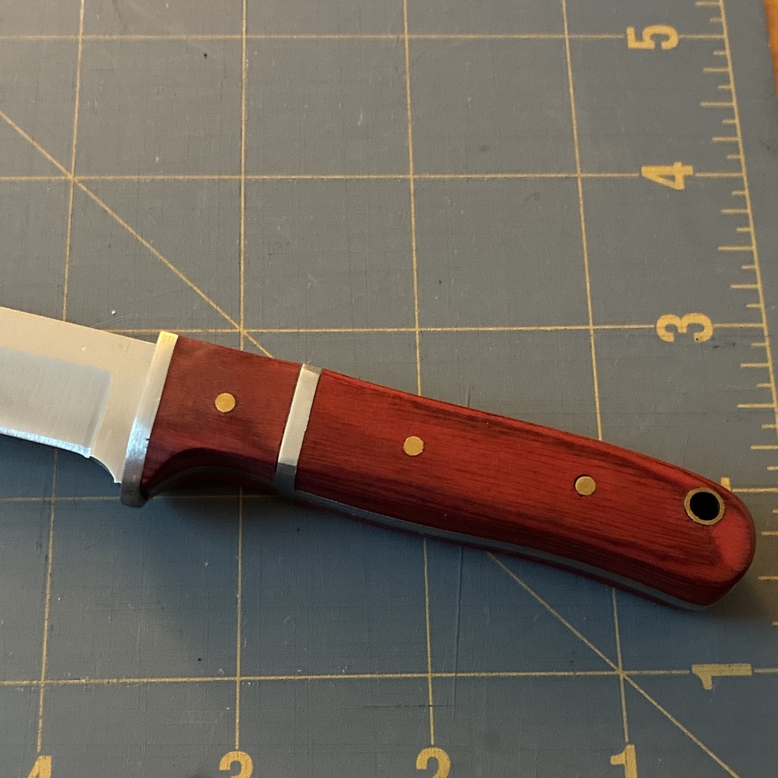 Hunting Fixed Blade Knife 3-3.49in Stainless Clip Point Silver, Wood, Hole