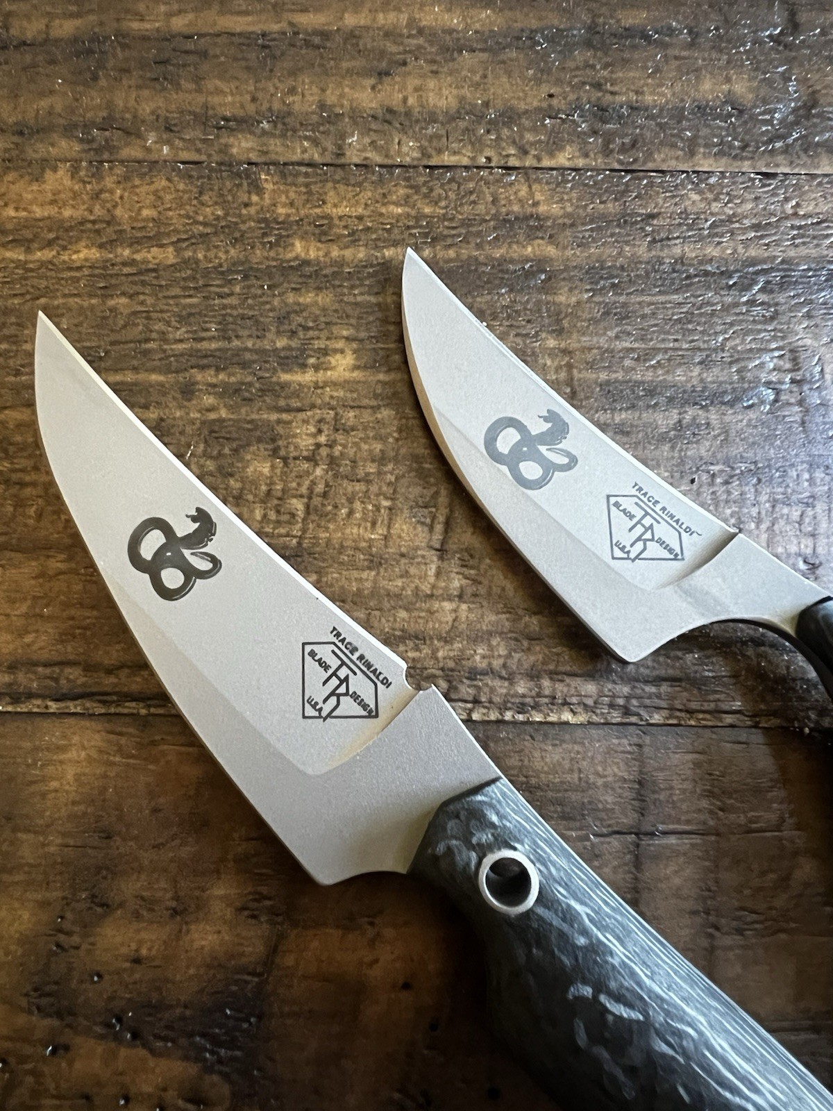 ORIGINAL RARE SHIVWORKS CARBON FIBER TRACE RINALDI DISCIPLE AND CLINCH PICK SET