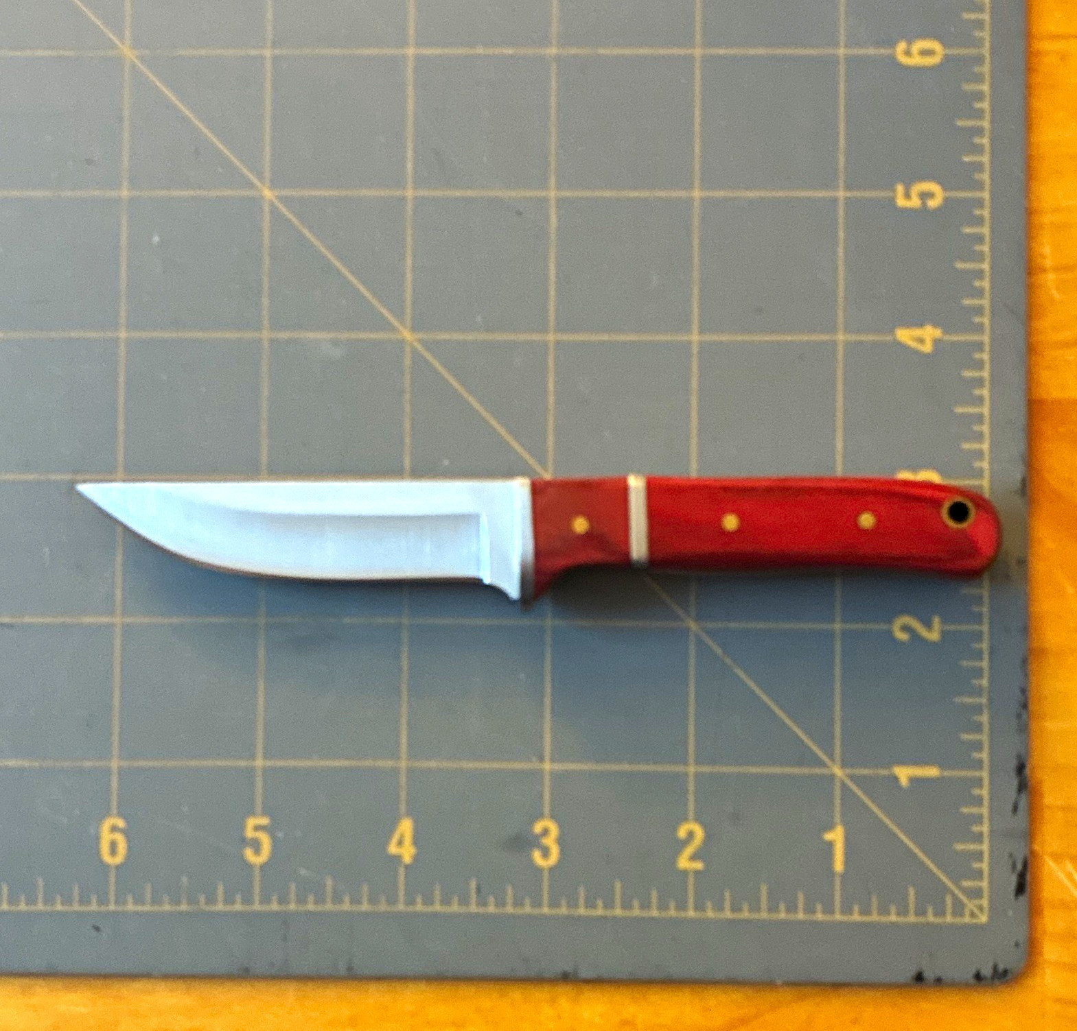 Hunting Fixed Blade Knife 3-3.49in Stainless Clip Point Silver, Wood, Hole