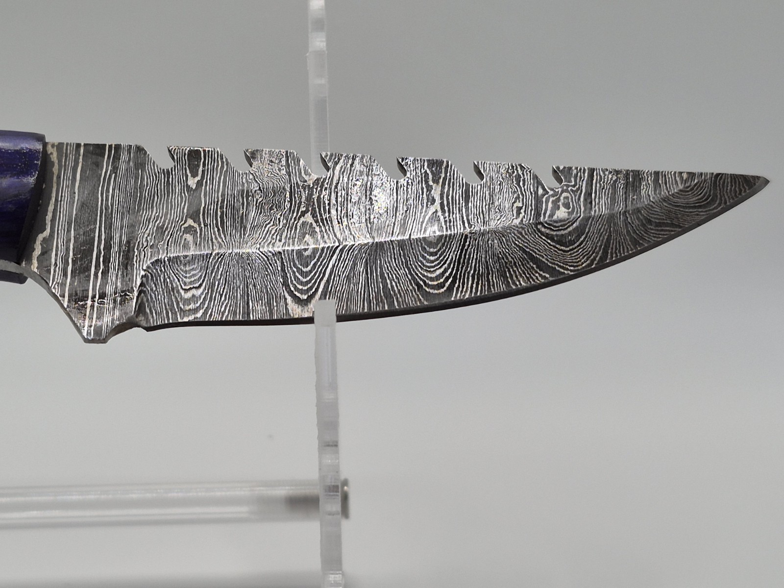 Damascus Steel Hunting Knife Over 5in Clip Point Full Tang Wood Handle w/ Sheath