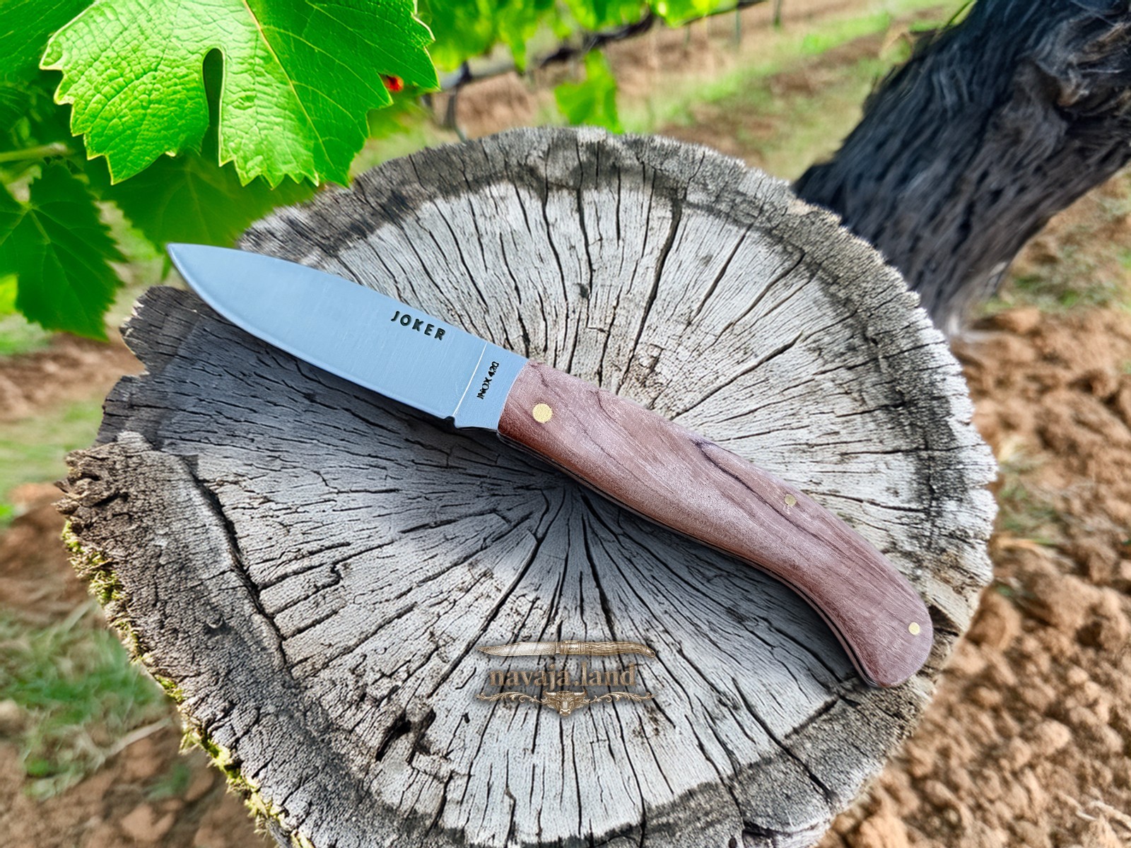 3.54” Joker Camping Folding Knife (Bubinga Wood Handle) 420 Steel – From Spain