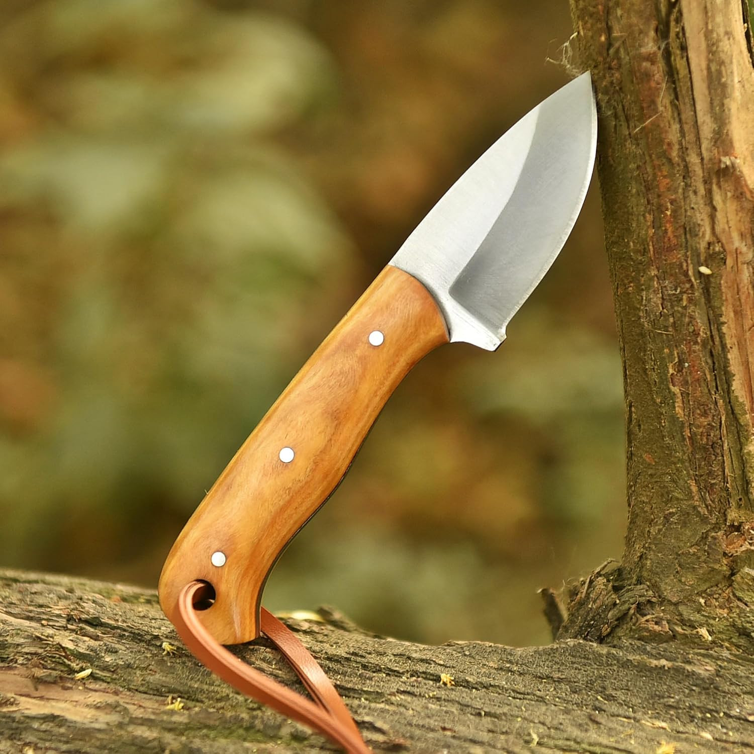 Handmade D2 Steel Neck Knife 5.5″ Fixed Blade Small EDC Knife with Premium Olive