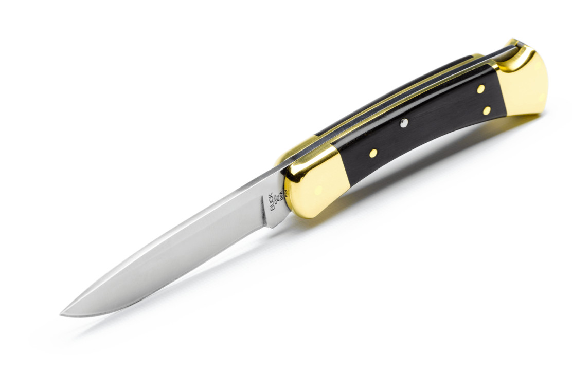 Buck 110 Drop Point Folding Hunter Knife 0110BRS6-B 420HC Ebony Made in USA New