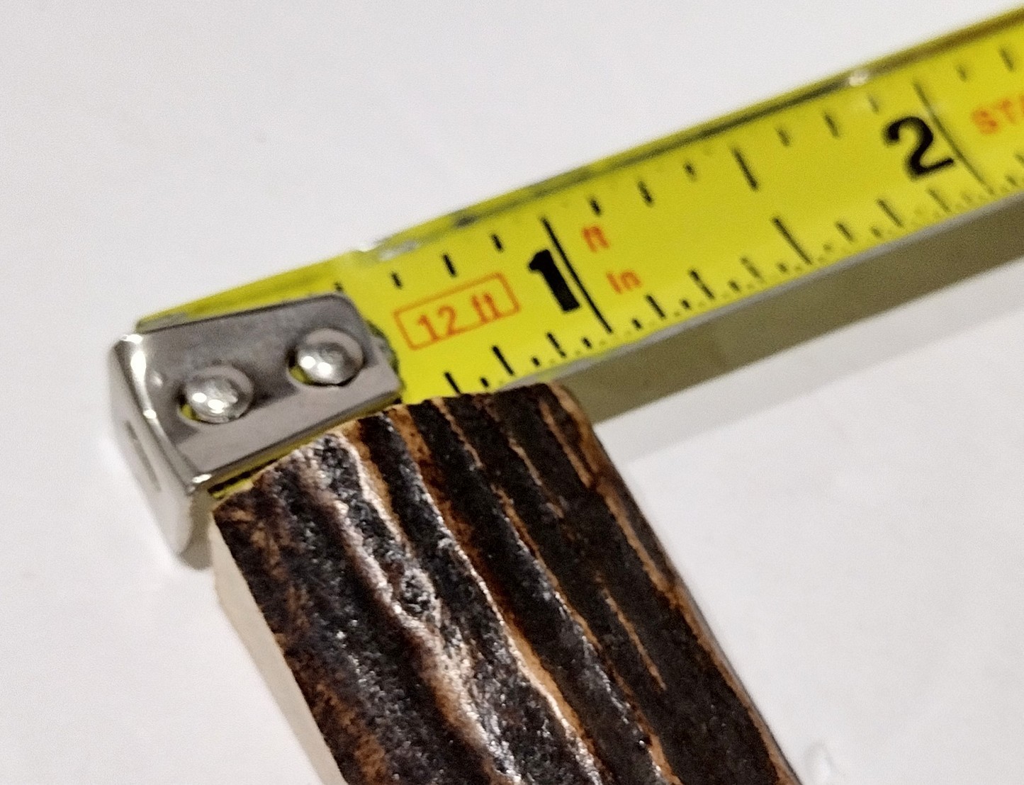 New Set USA Stag Bone Custom Pocket Knife Blade Making Handles Handle Scales
