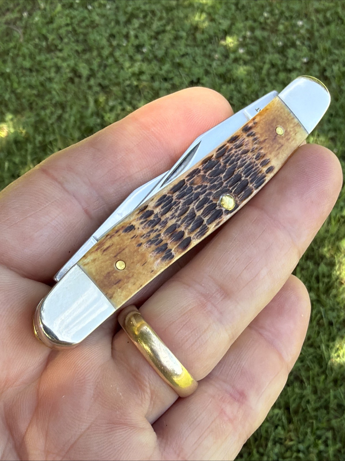 Case XX 2025 Burnt Amber Rogers Jig Bone Muskrat CS Knife
