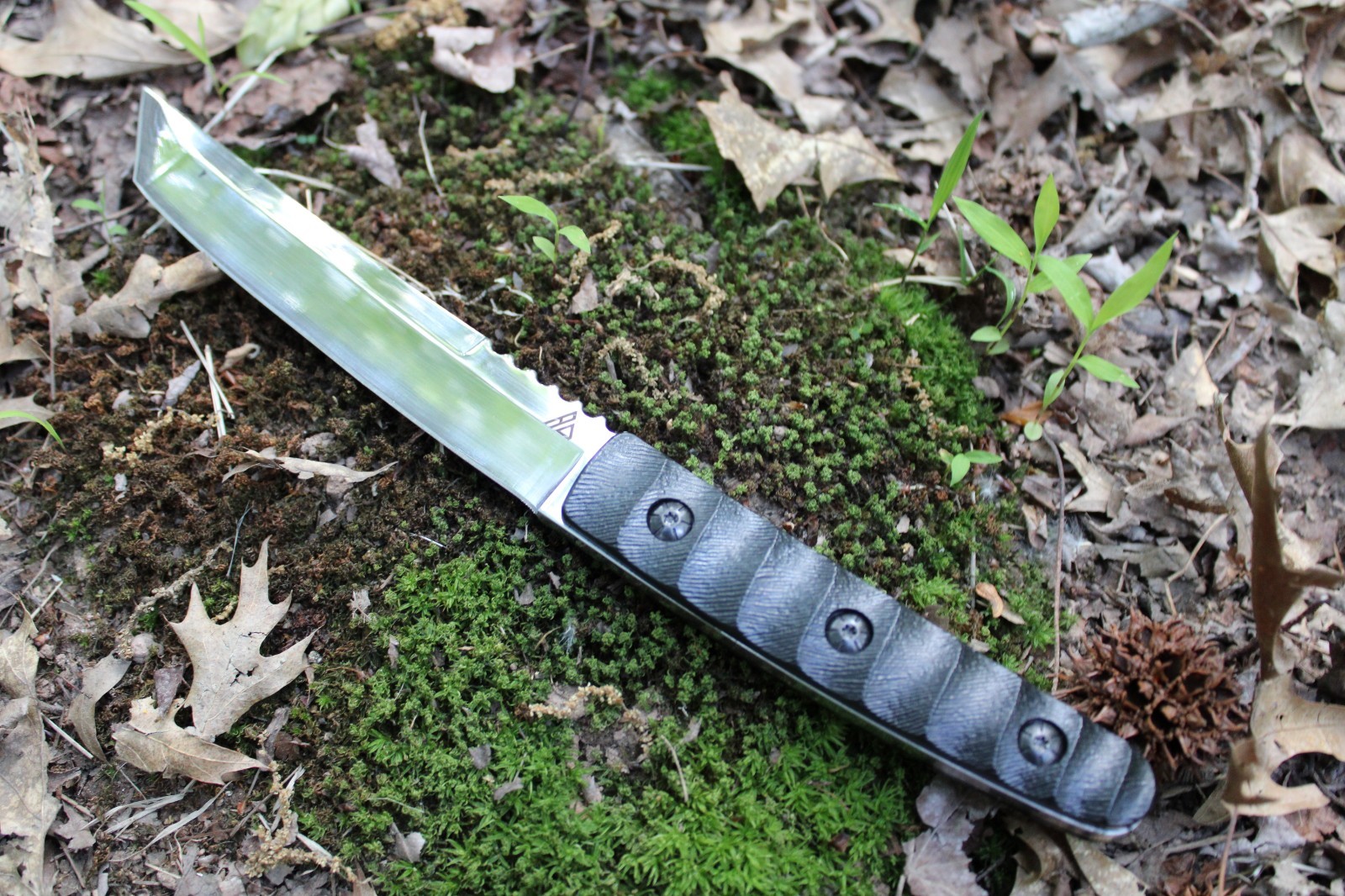 Fixed Tanto D2 Steel Blade Japanese Style Knife G10 Handle & Kydex Sheath EDC