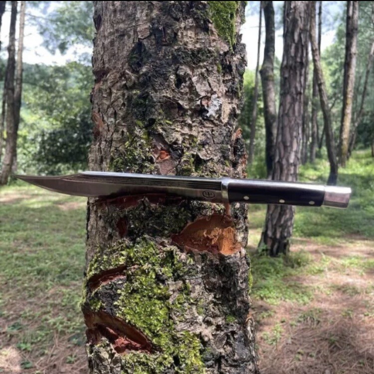 Custom Handmade Carbon Steel Blade Tactical Bowie Knife | Hunting Knife Camping