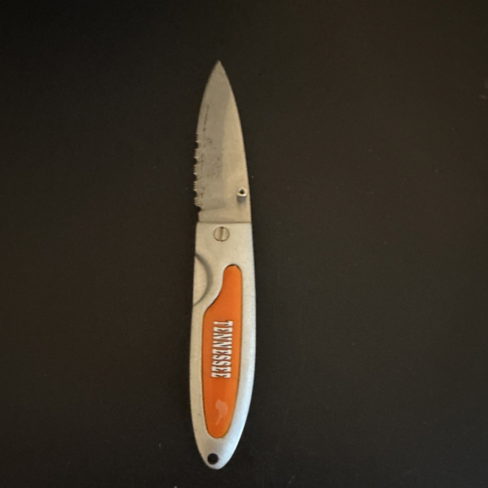 Tennessee Manual Folding Pocketknife Drop Point Combo Edge Liner Lock 2.75in