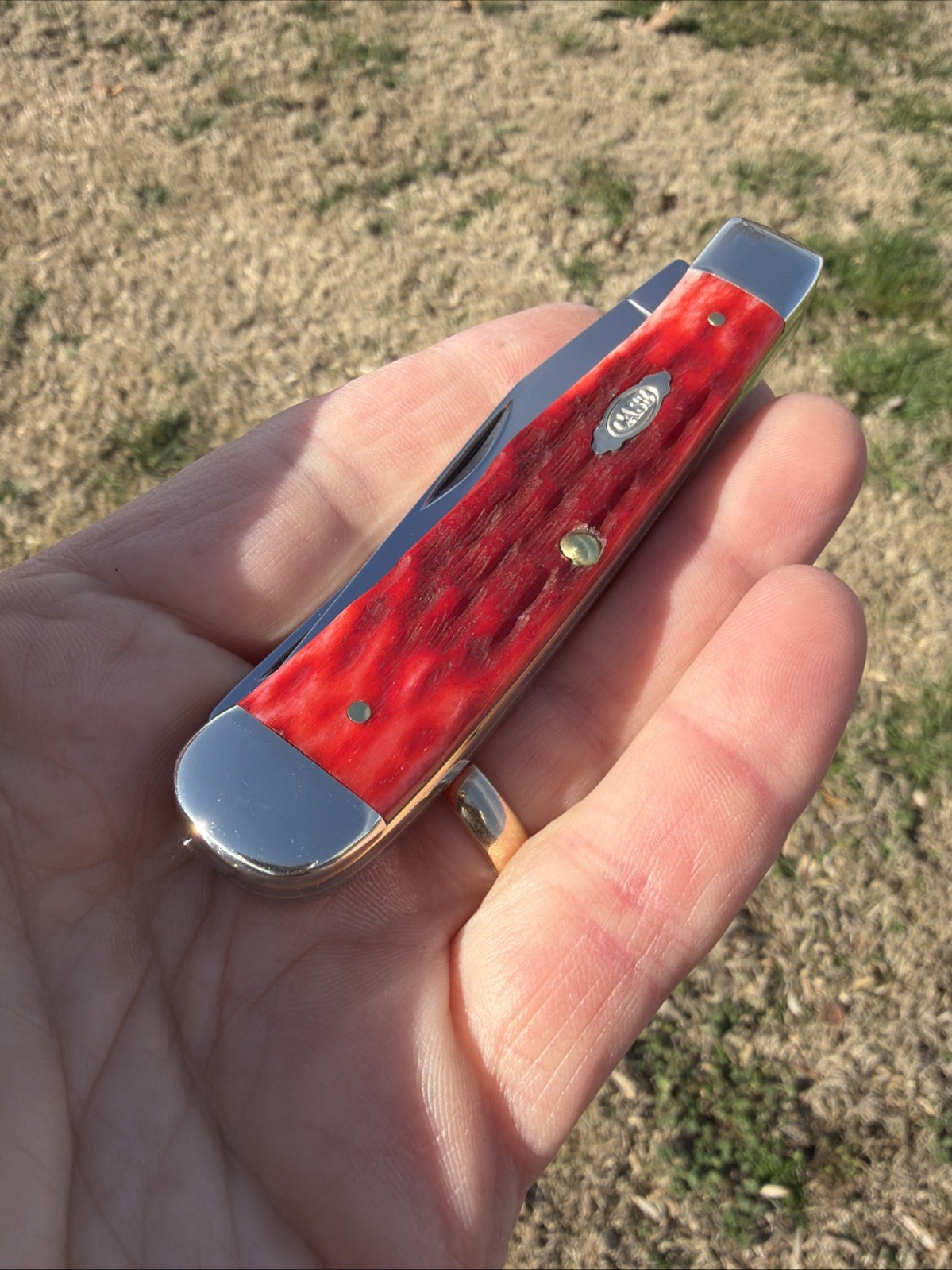 Case XX 2025 Dark Red Bone 6254C CS Trapper Knife (With Pocket Clip)