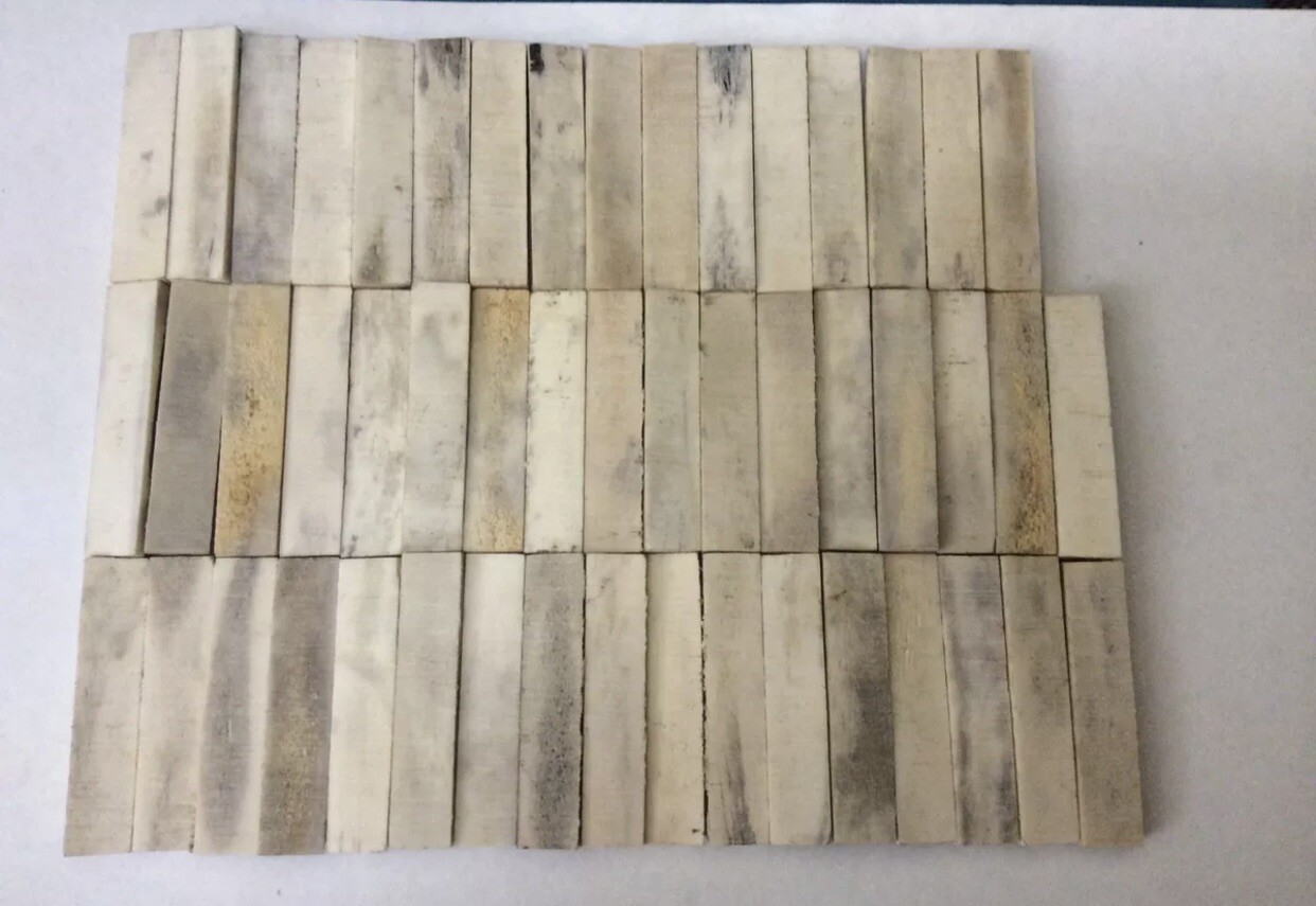 50 Piece Lot India Sambar Stag for Knife Handles Scales Slabs 2 1/4” x 1/2”