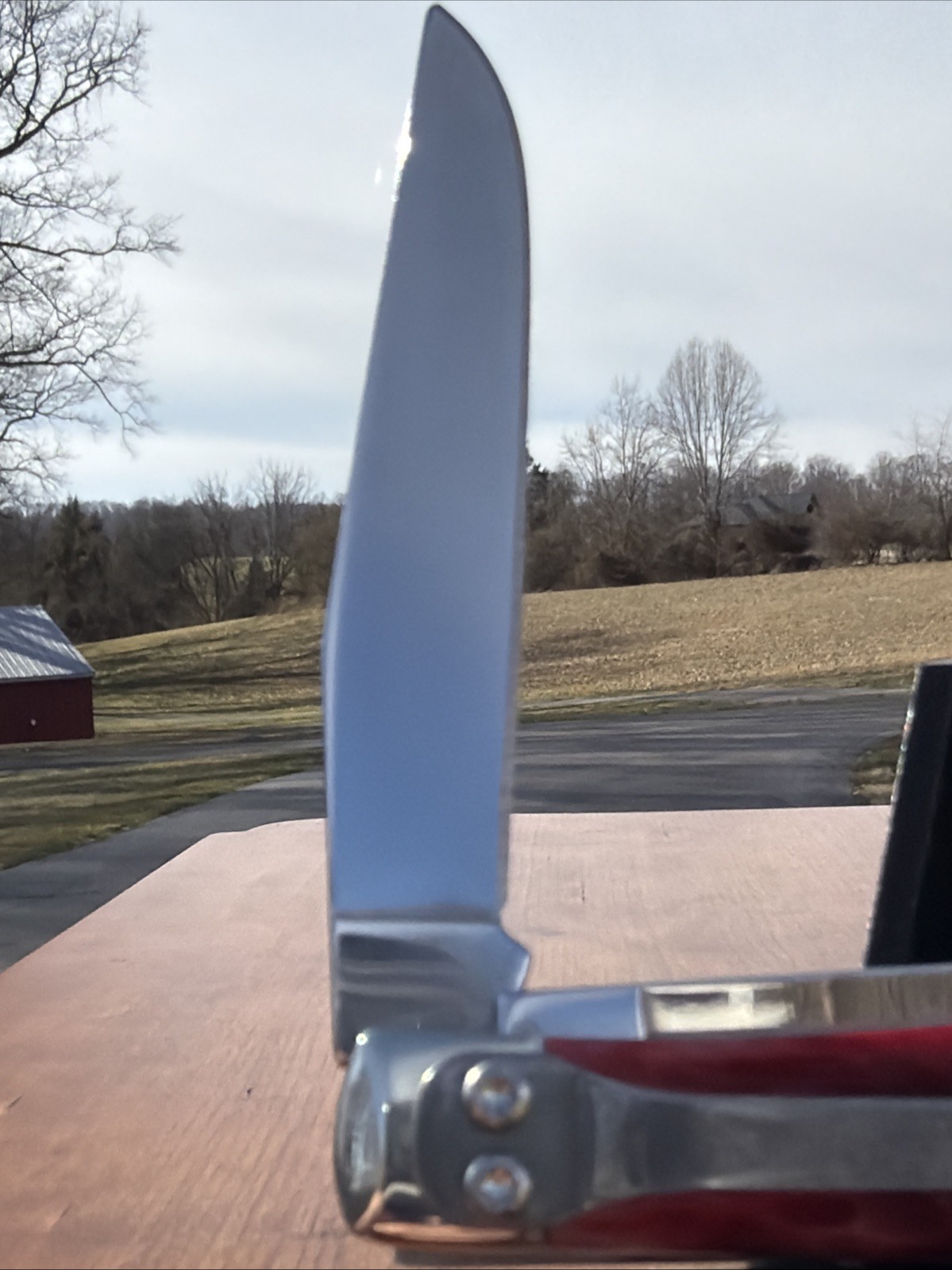 Case XX 2025 Dark Red Bone 6254C CS Trapper Knife (With Pocket Clip)