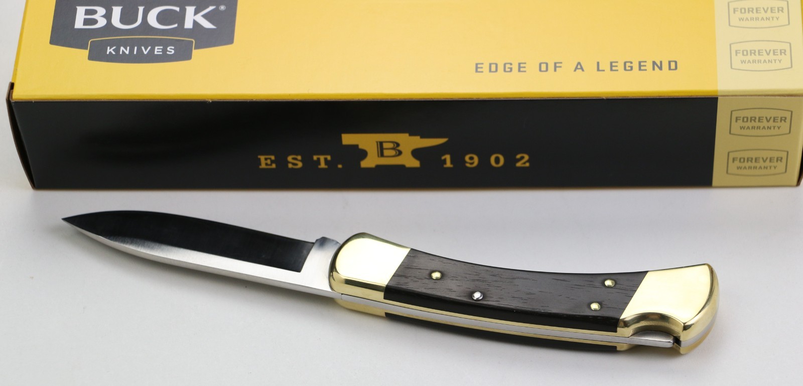 Buck 110 Drop Point Folding Hunter Knife 0110BRS6-B 420HC Ebony Made in USA New