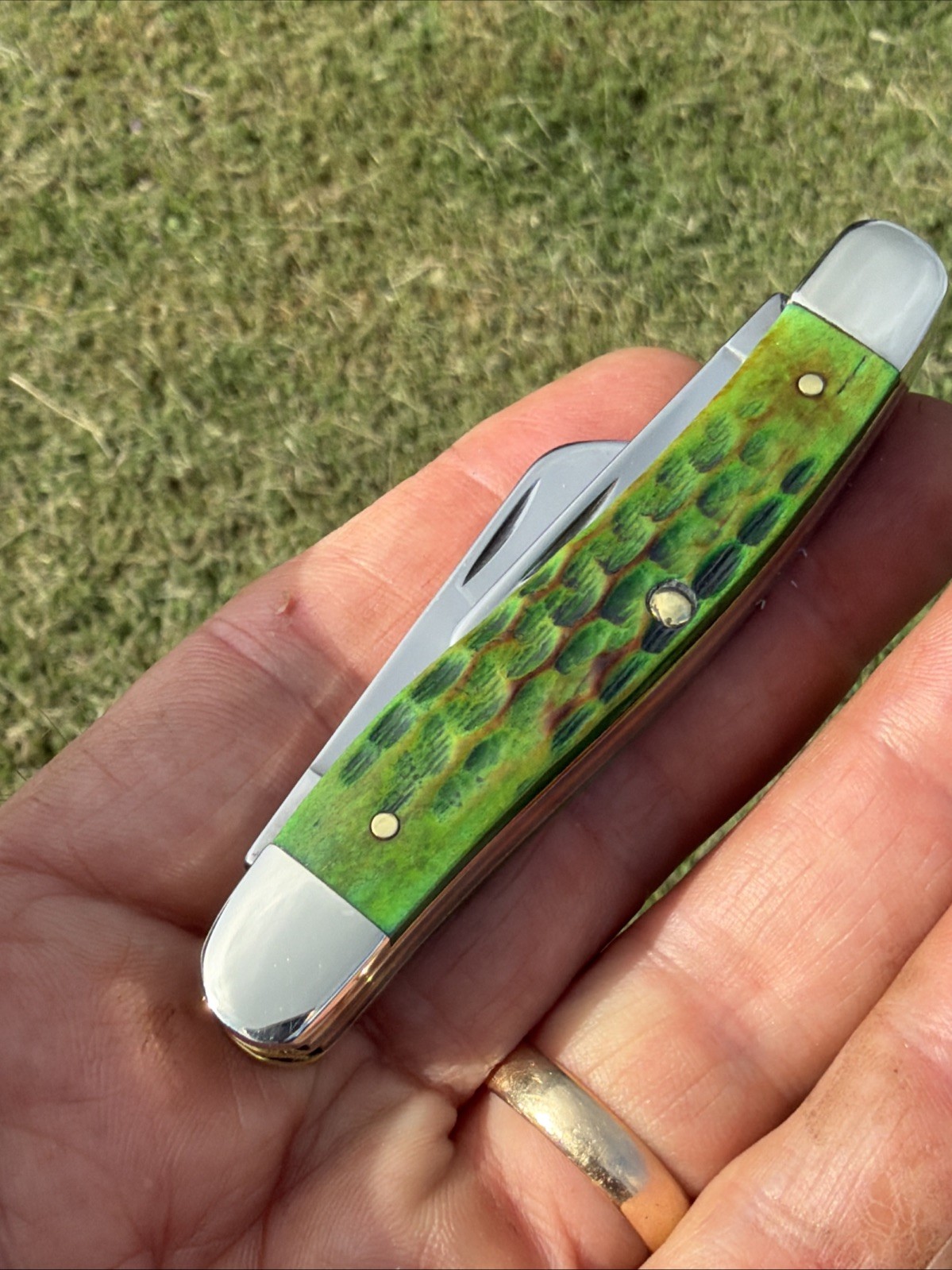 Case XX 2025 Lizardskin Corn Cob Jig Bone 6318 SS Medium Stockman Knife