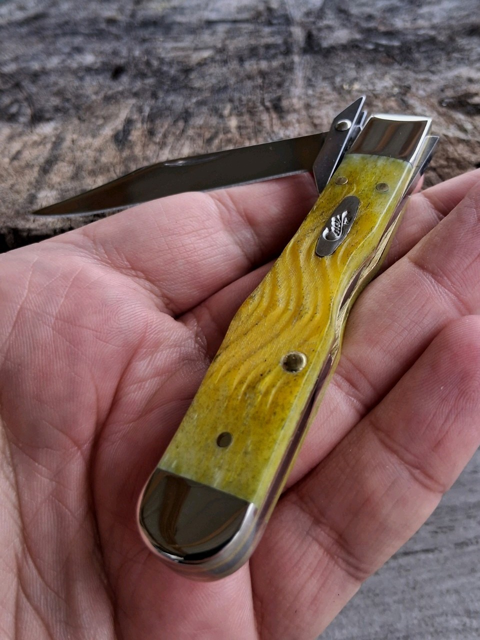 Case XX No. 75317 Yellow Bone Platts Jig Cheetah Cub (611 1/2L SS)