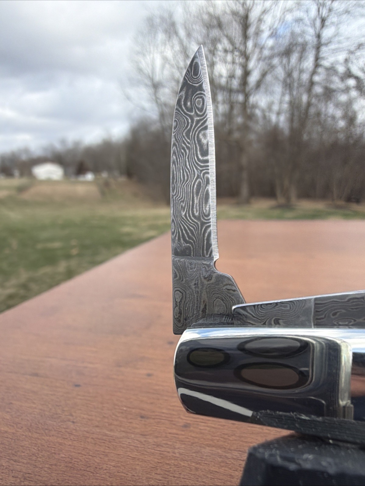 BEAR & SON INDIA STAG BONE DAMASCUS STEEL BCGS281D 1/2 BABY BARLOW KNIFE