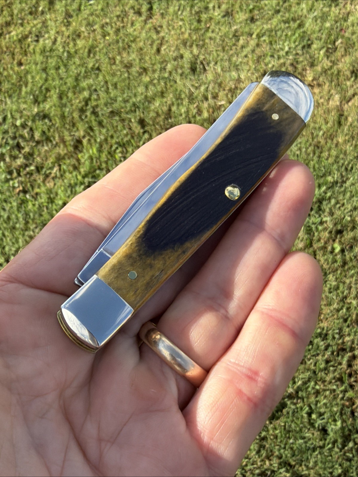 Case XX 2025 Olive Green Sawcut Bone 6254 SS Trapper Knife