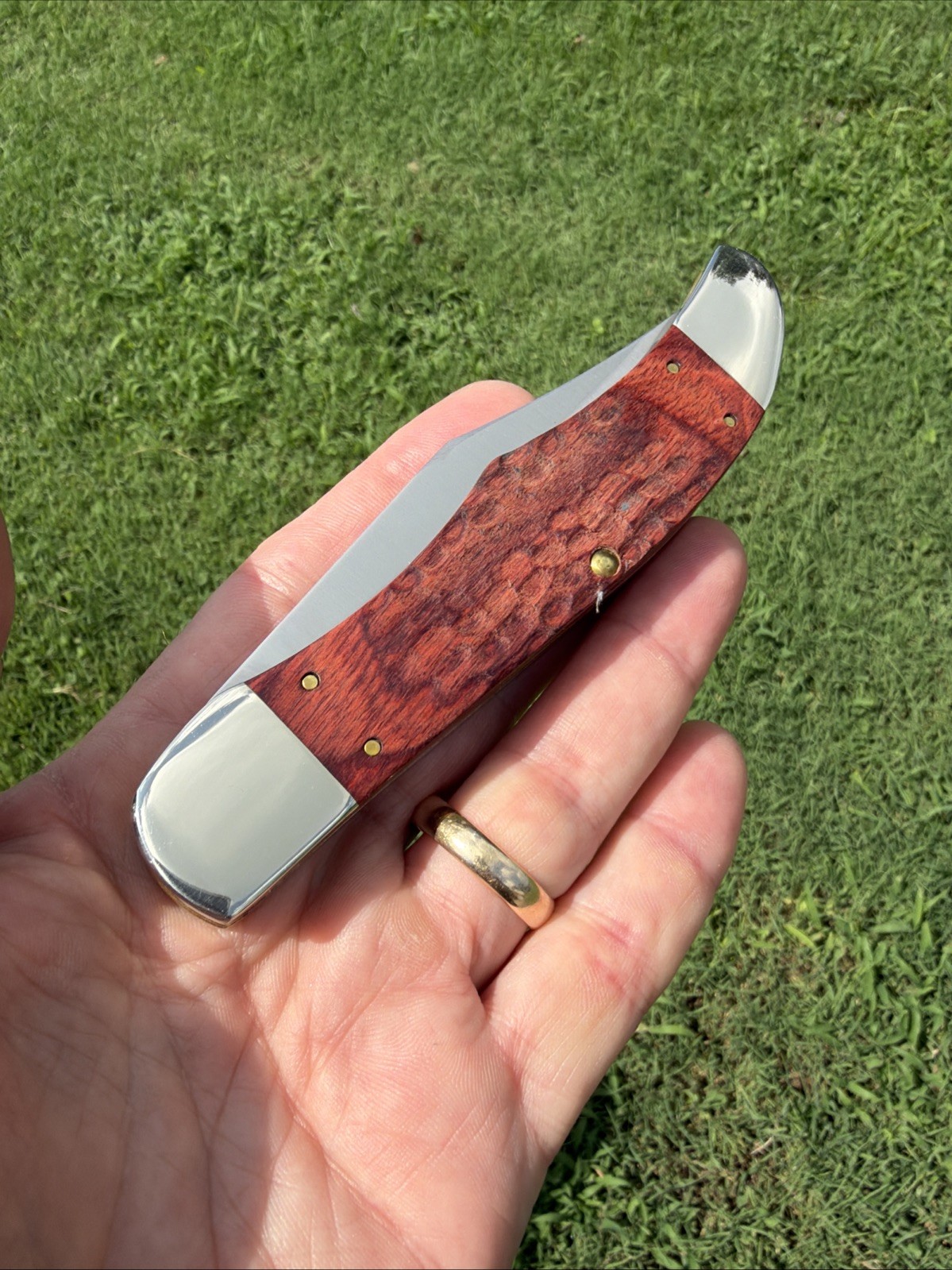 Case XX 2025 Rosewood Standard Jig 6265 SS Folding Hunter With Sheath