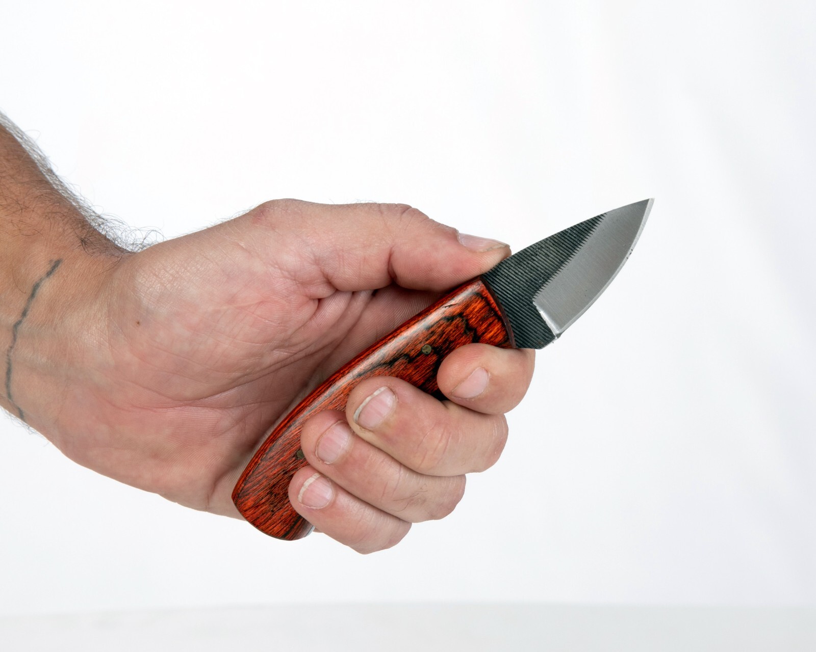 Sawmill Compact 5.5″ Skinner, Hardwood Handle, Leather Sheath – Rugged, Sharp!