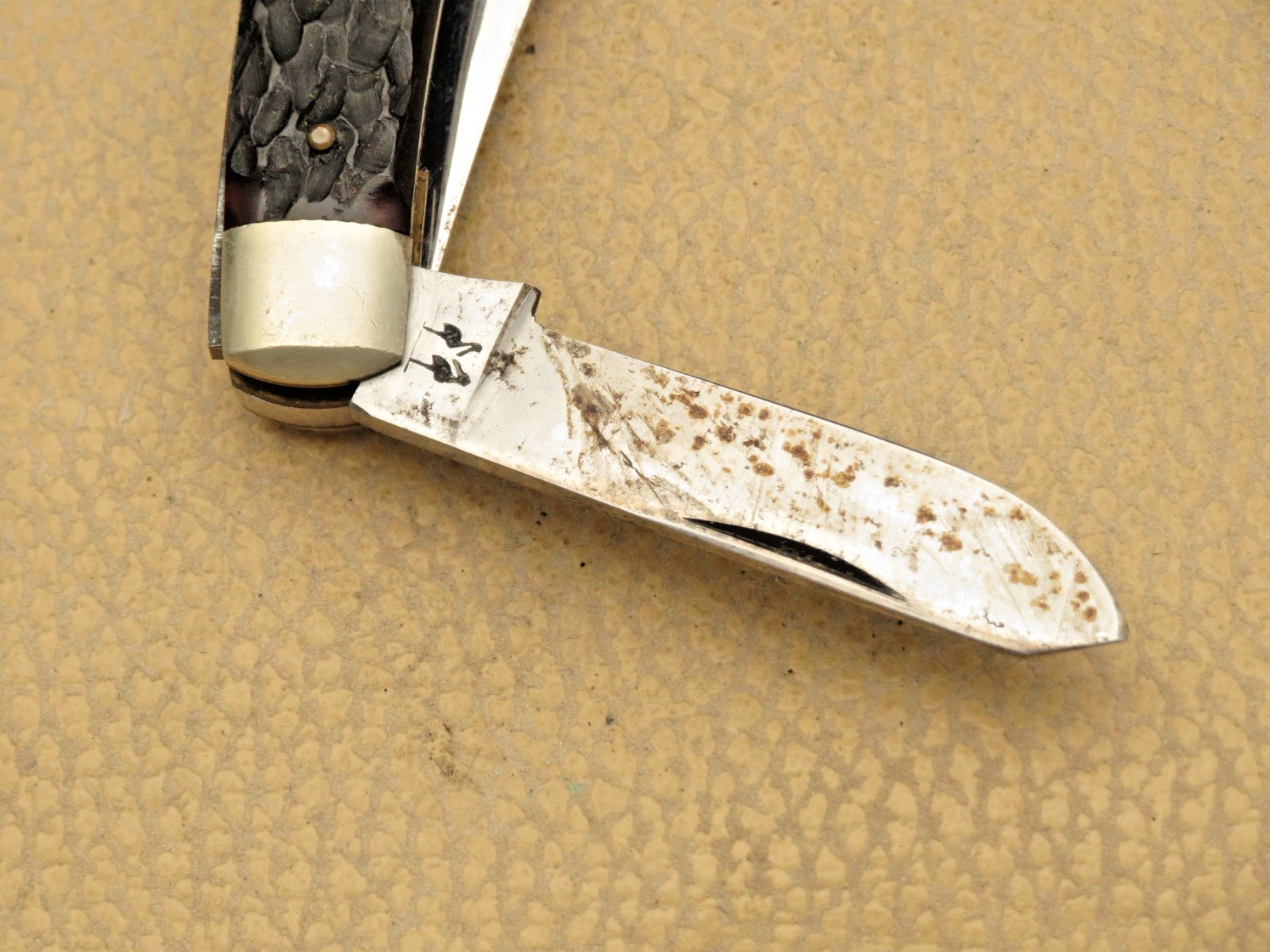 Vintage KISSING CRANE Solingen Stockman Knife Bone Handles – Unused with Tarnish