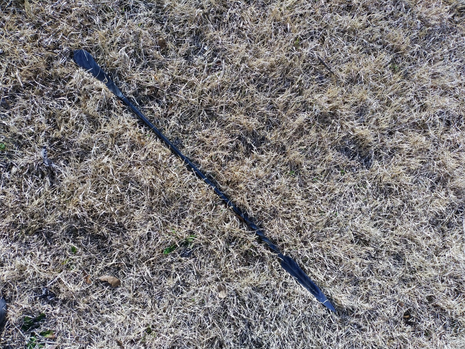 whole steel short spear, 38in long