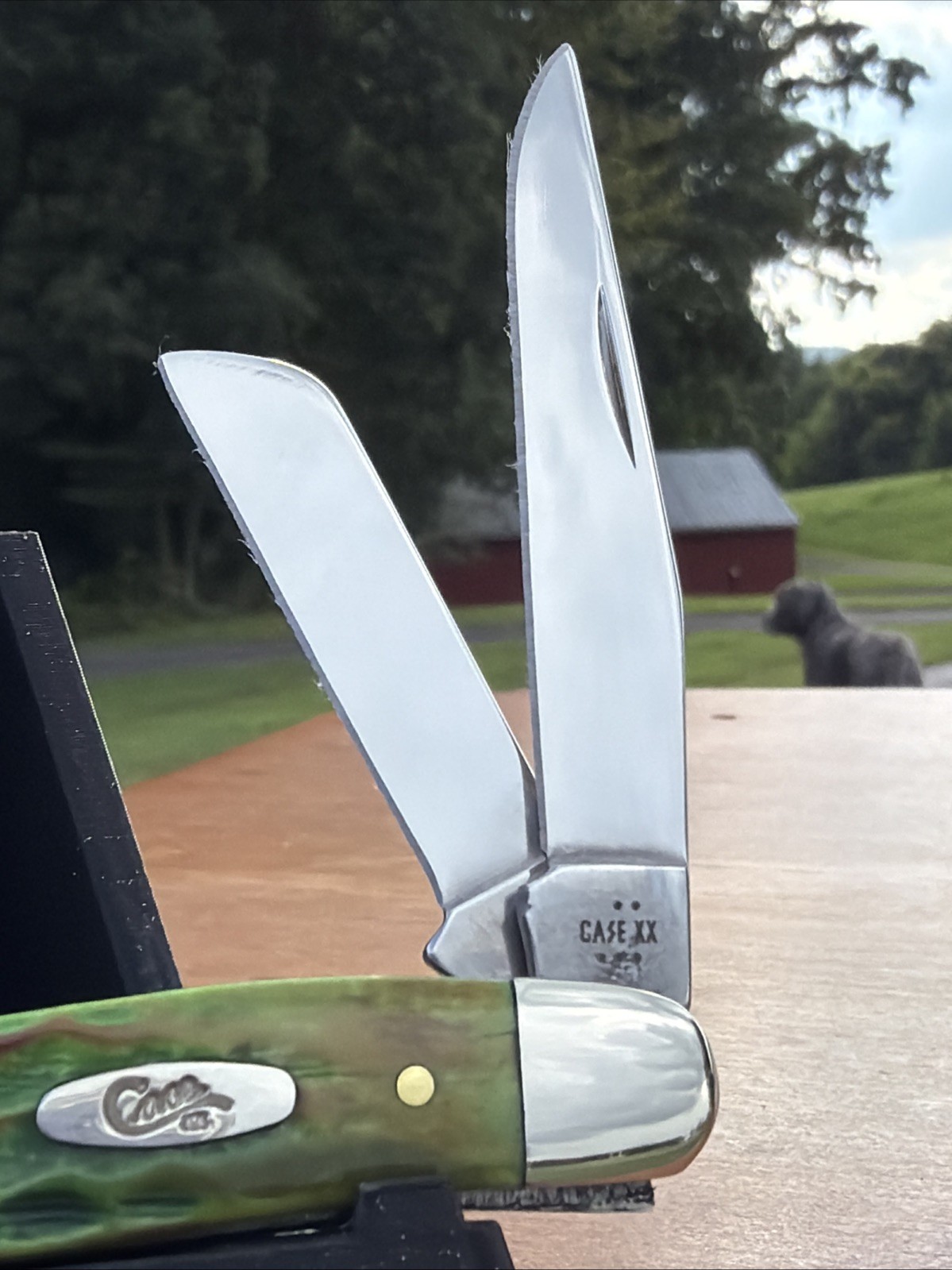 Case XX 2025 Lizardskin Corn Cob Jig Bone 6318 SS Medium Stockman Knife