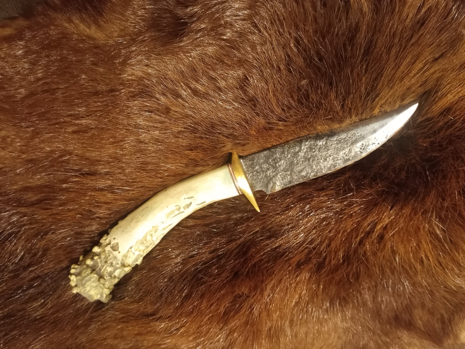 Handmade Whitetail Deer Antler Handled Knife Forged Brass Guard Hunting Bowie