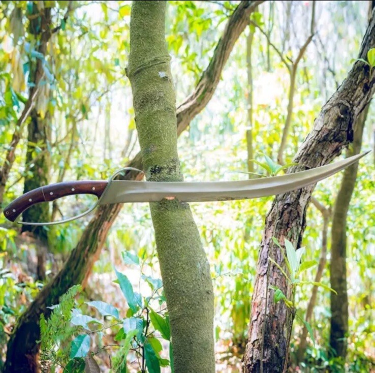 Custom Handmade Carbon Steel Blade Viking Machete Sword | Hunting Sword Camping