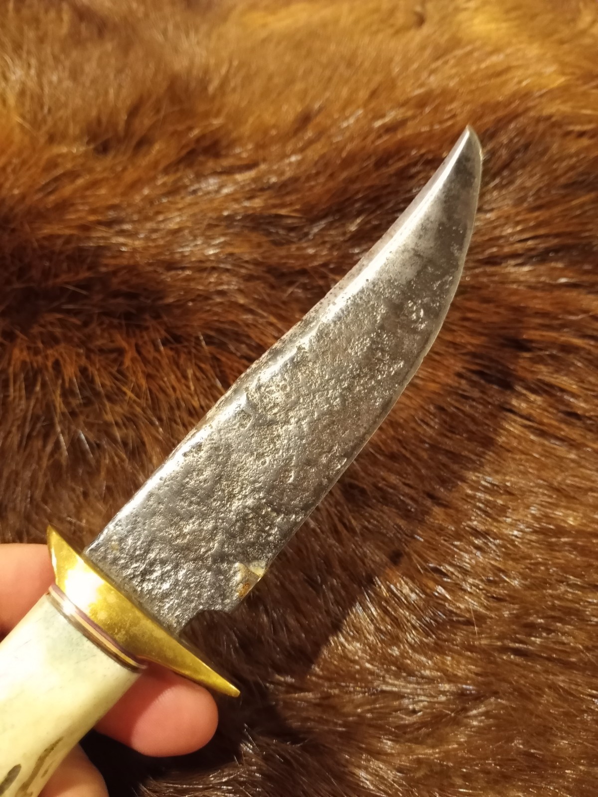Handmade Whitetail Deer Antler Handled Knife Forged Brass Guard Hunting Bowie