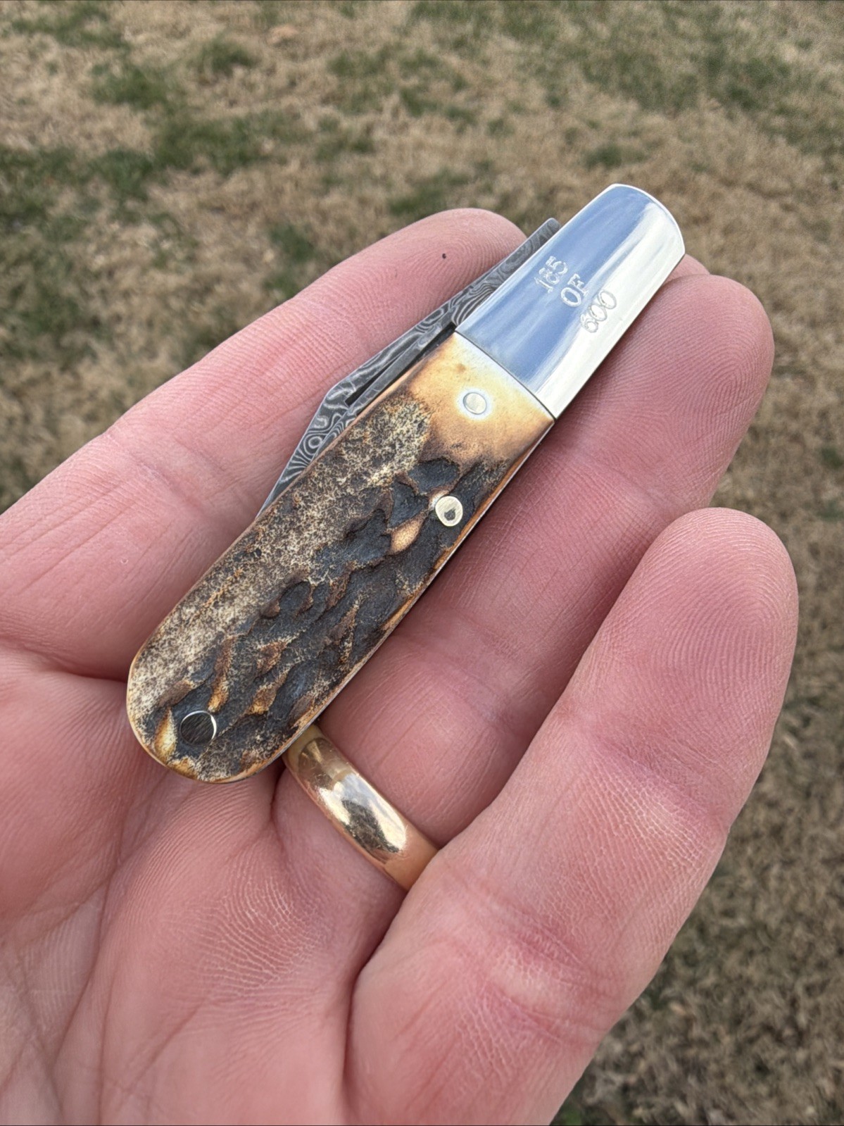 BEAR & SON INDIA STAG BONE DAMASCUS STEEL BCGS281D 1/2 BABY BARLOW KNIFE