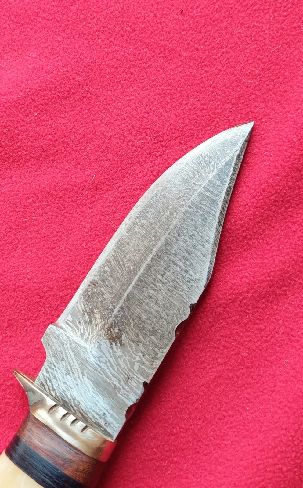 8.5″ Handmade Every Day Carry , Damascus Steel, Bone Grip & Leather Sheath