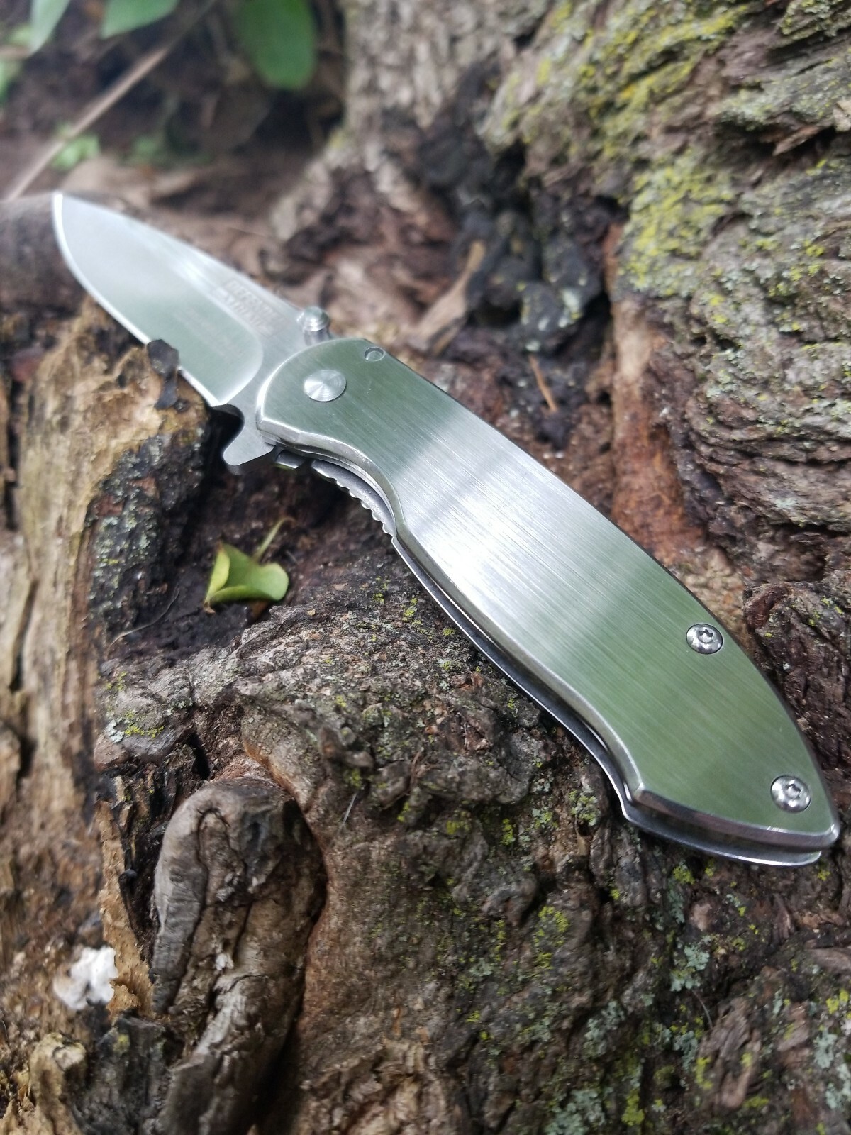 Spring Assisted Pocket Knife Metallic Gray Small Guys Ladies EDC 3CR13 👀😎😍