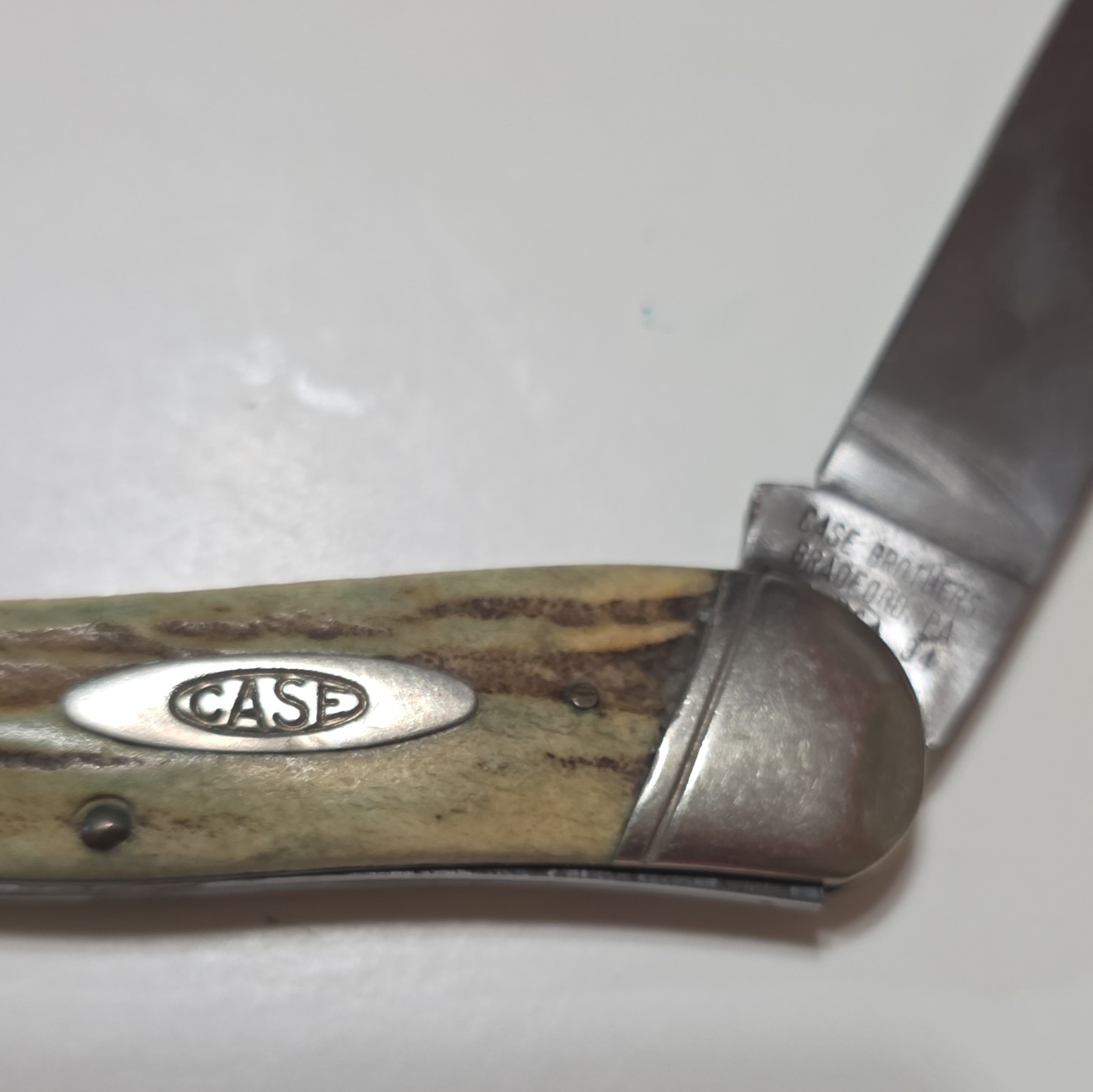 Case 3-Blade Pocketknife Stag/Antler Handle Stainless Slipjoint Manual