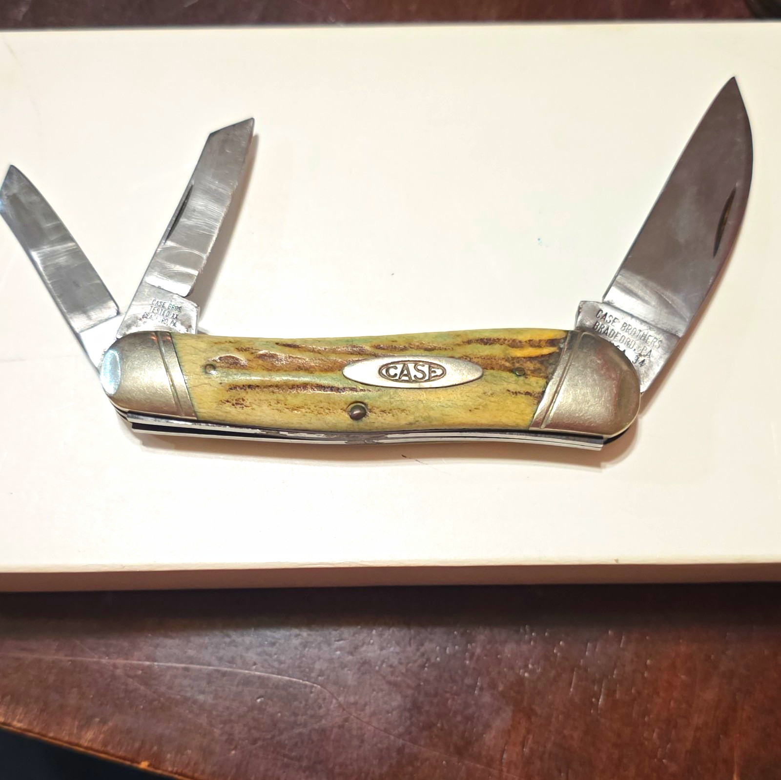 Case 3-Blade Pocketknife Stag/Antler Handle Stainless Slipjoint Manual
