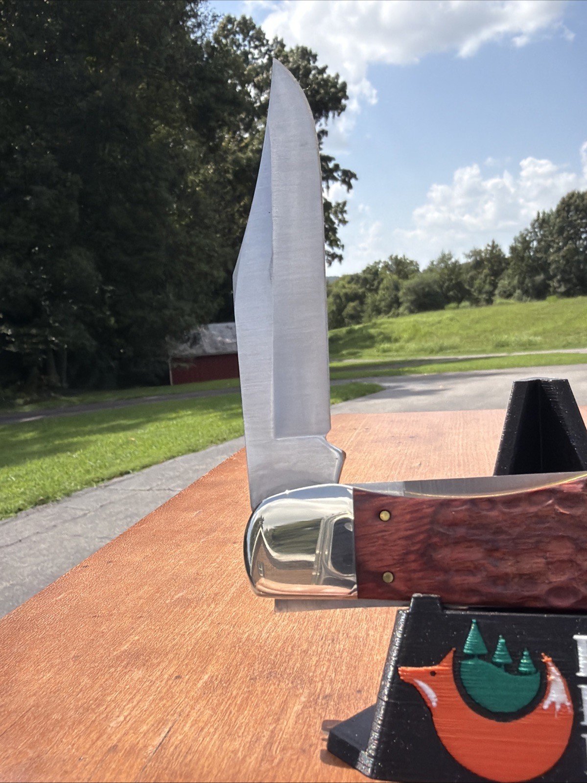 Case XX 2025 Rosewood Standard Jig 6265 SS Folding Hunter With Sheath