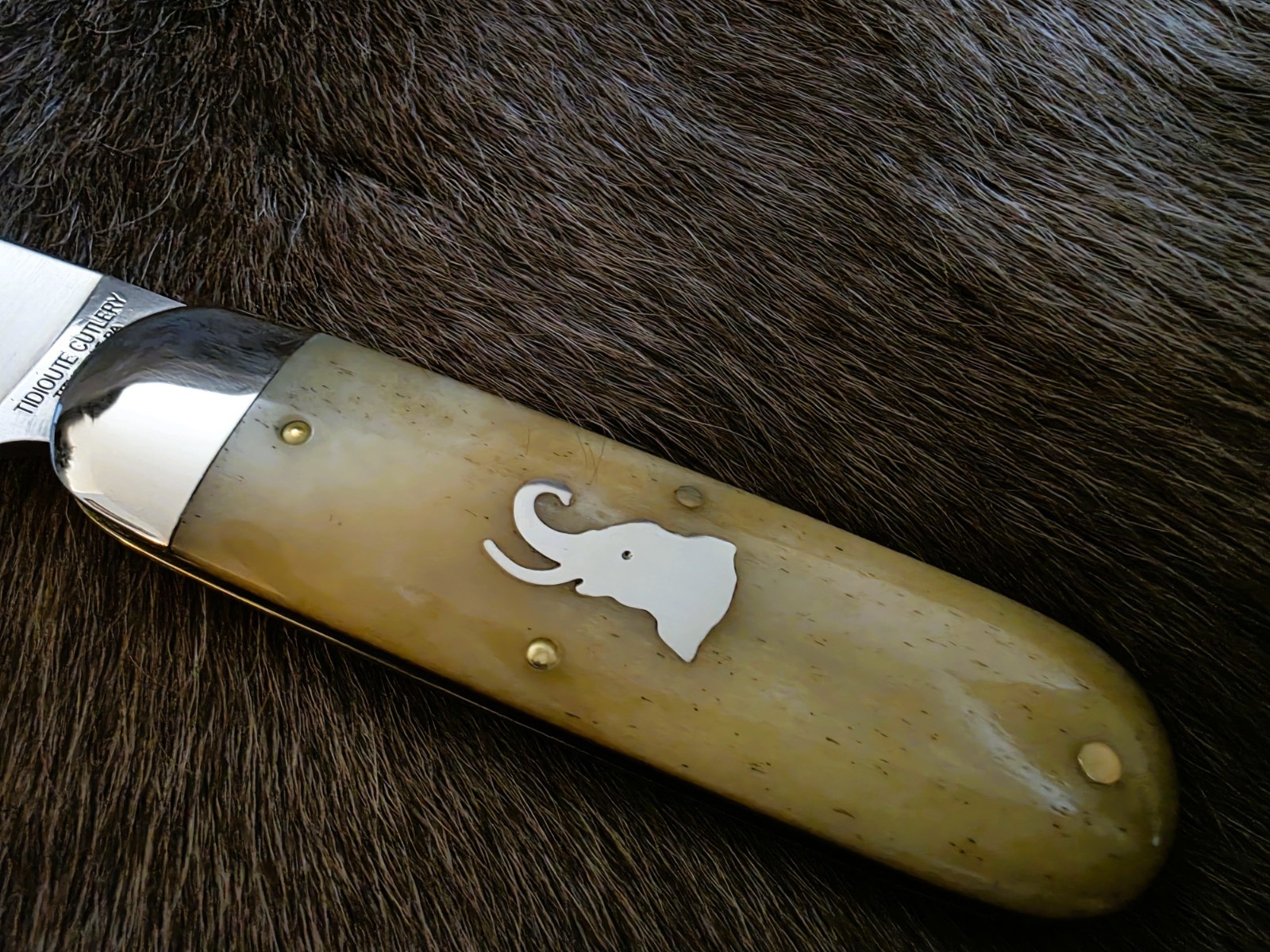 GEC – Tidoute Cutlery ToeNail Clipper- 363122 India Smooth Bone