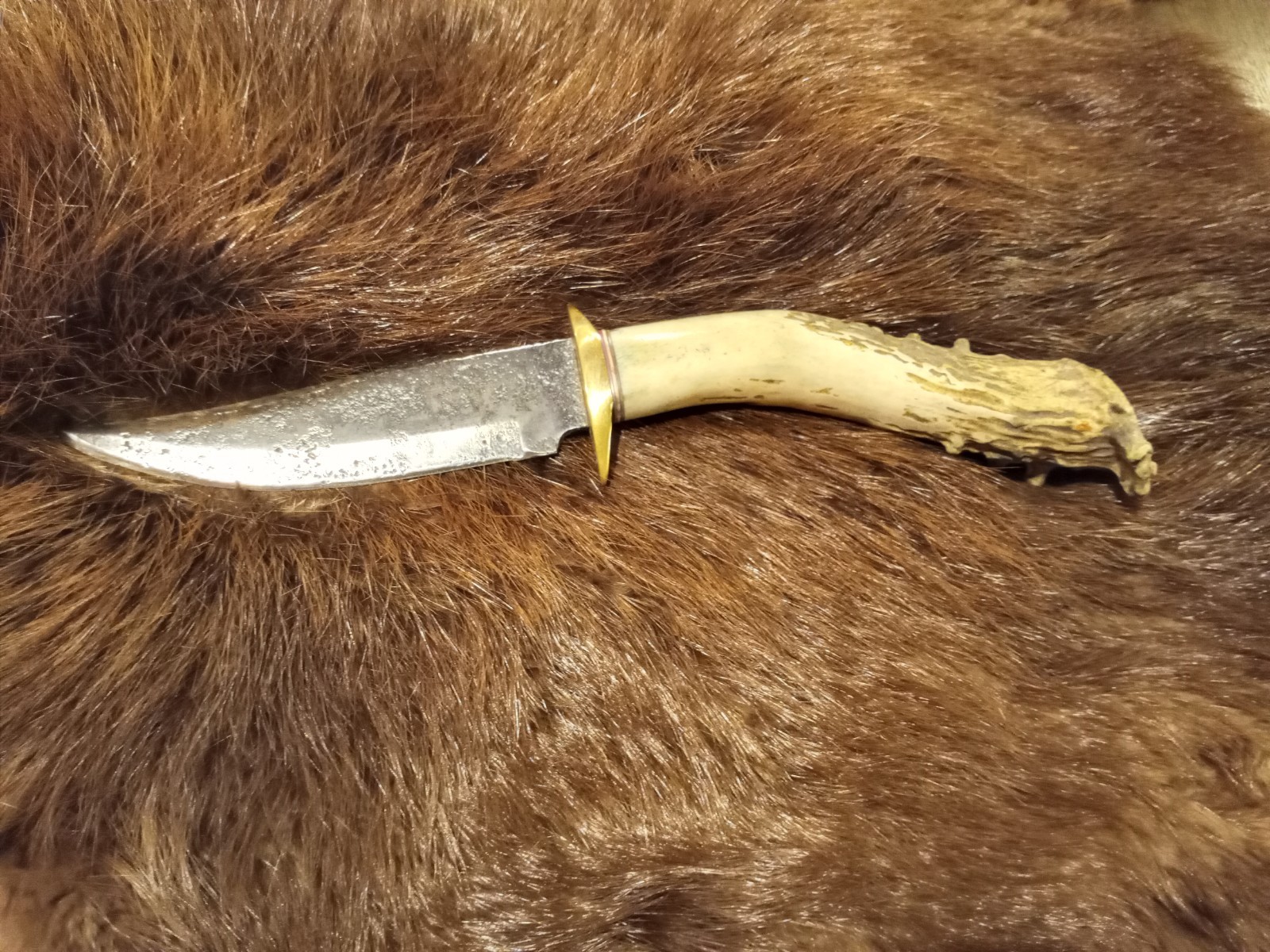 Handmade Whitetail Deer Antler Handled Knife Forged Brass Guard Hunting Bowie