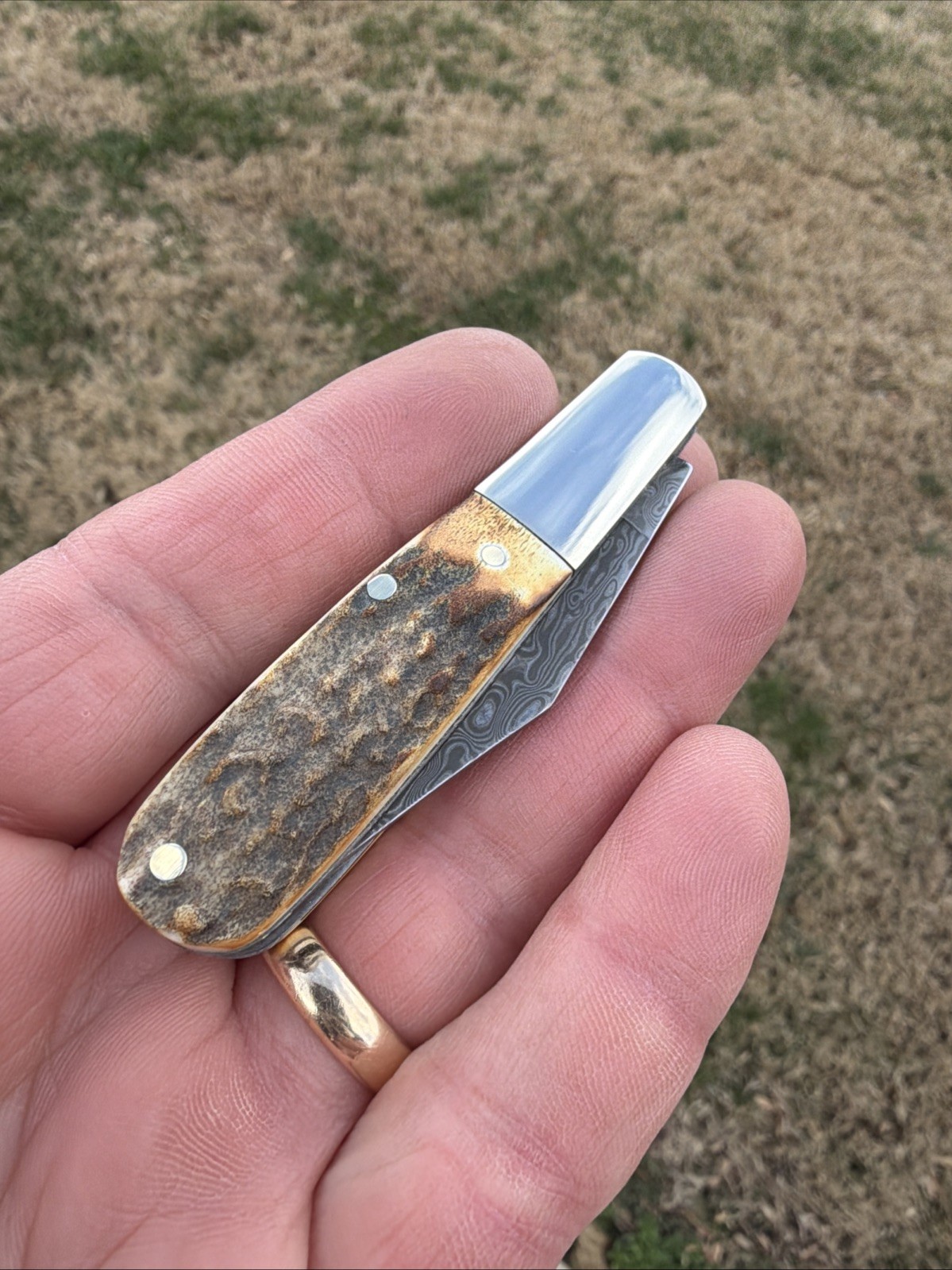 BEAR & SON INDIA STAG BONE DAMASCUS STEEL BCGS281D 1/2 BABY BARLOW KNIFE