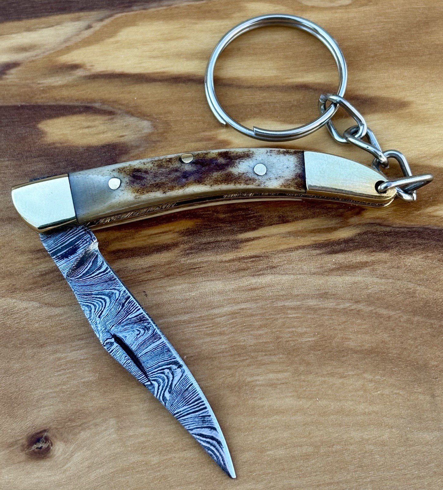 2.5” Pocket Knife Keychain High Quality Drop Point Everyday Carry Compact