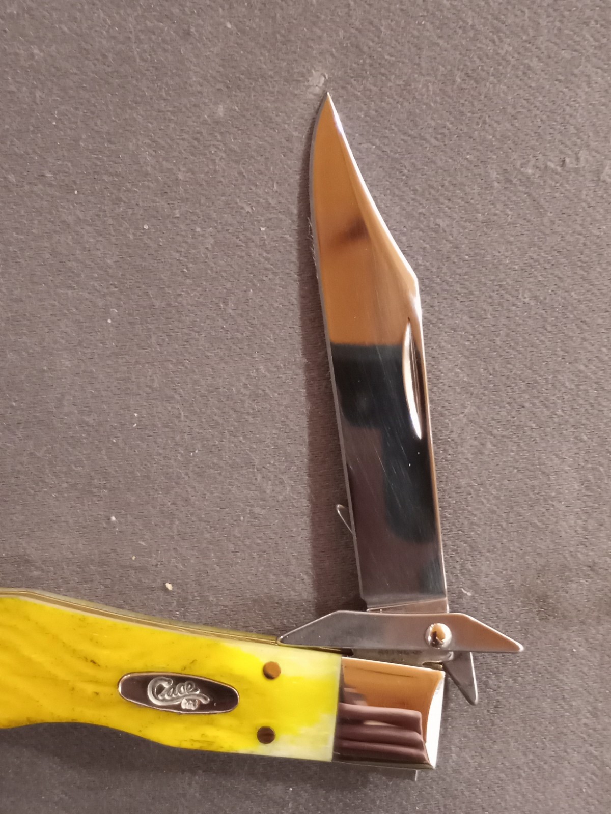 Case XX Yellow Bone Platt’s Jig Cheetah Cub (611 1/2L SS) NEW