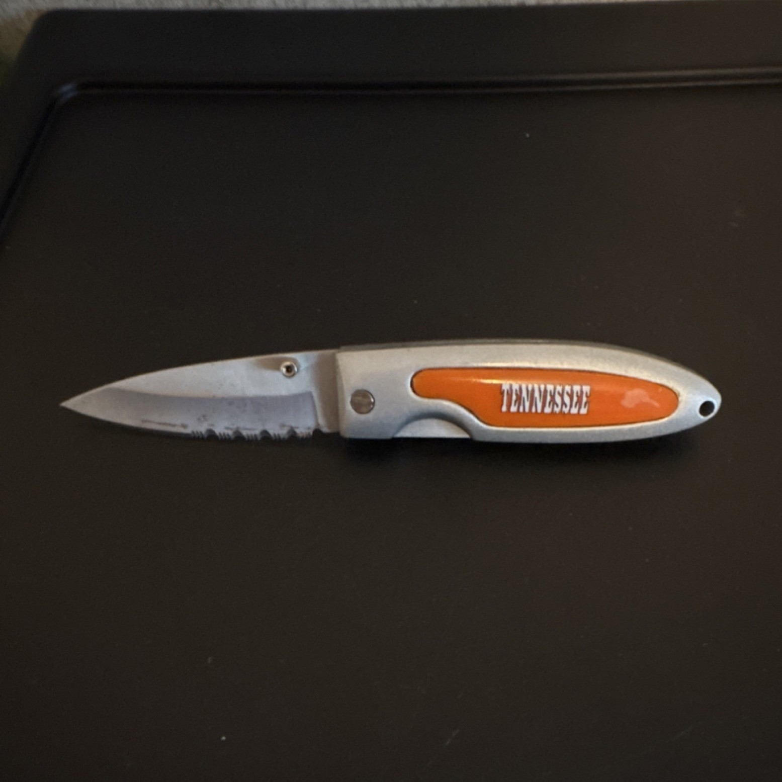 Tennessee Manual Folding Pocketknife Drop Point Combo Edge Liner Lock 2.75in