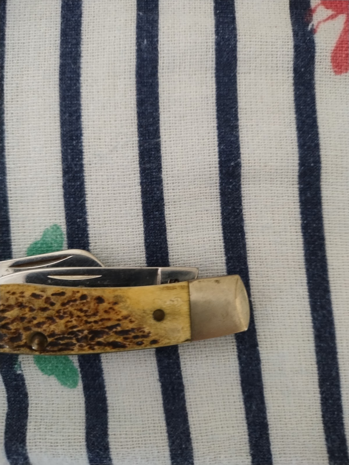 Vintage 2000s W. R. Case & Sons Bone Pocket Knife USA Good Condition 🔥