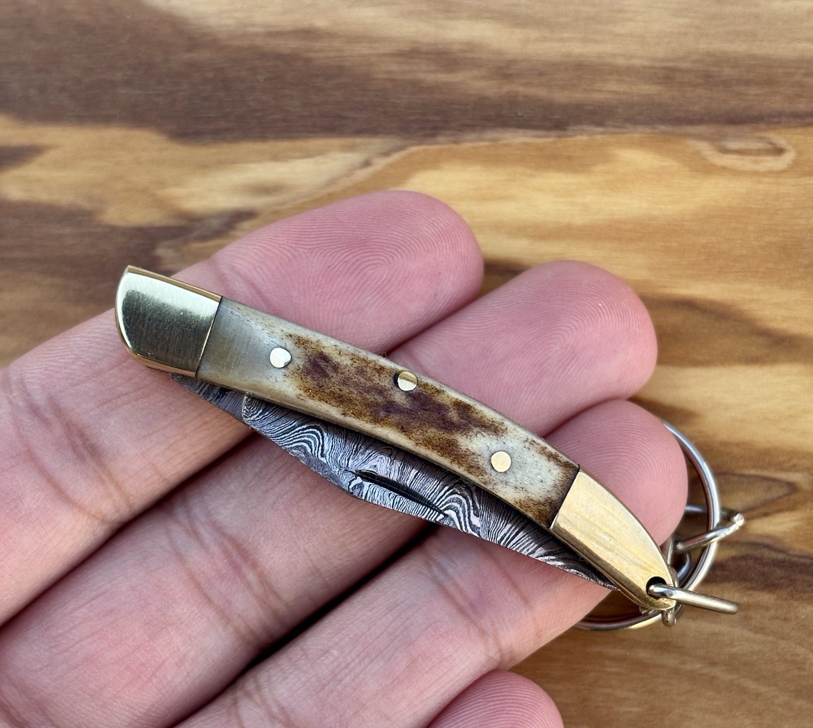 2.5” Pocket Knife Keychain High Quality Drop Point Everyday Carry Compact